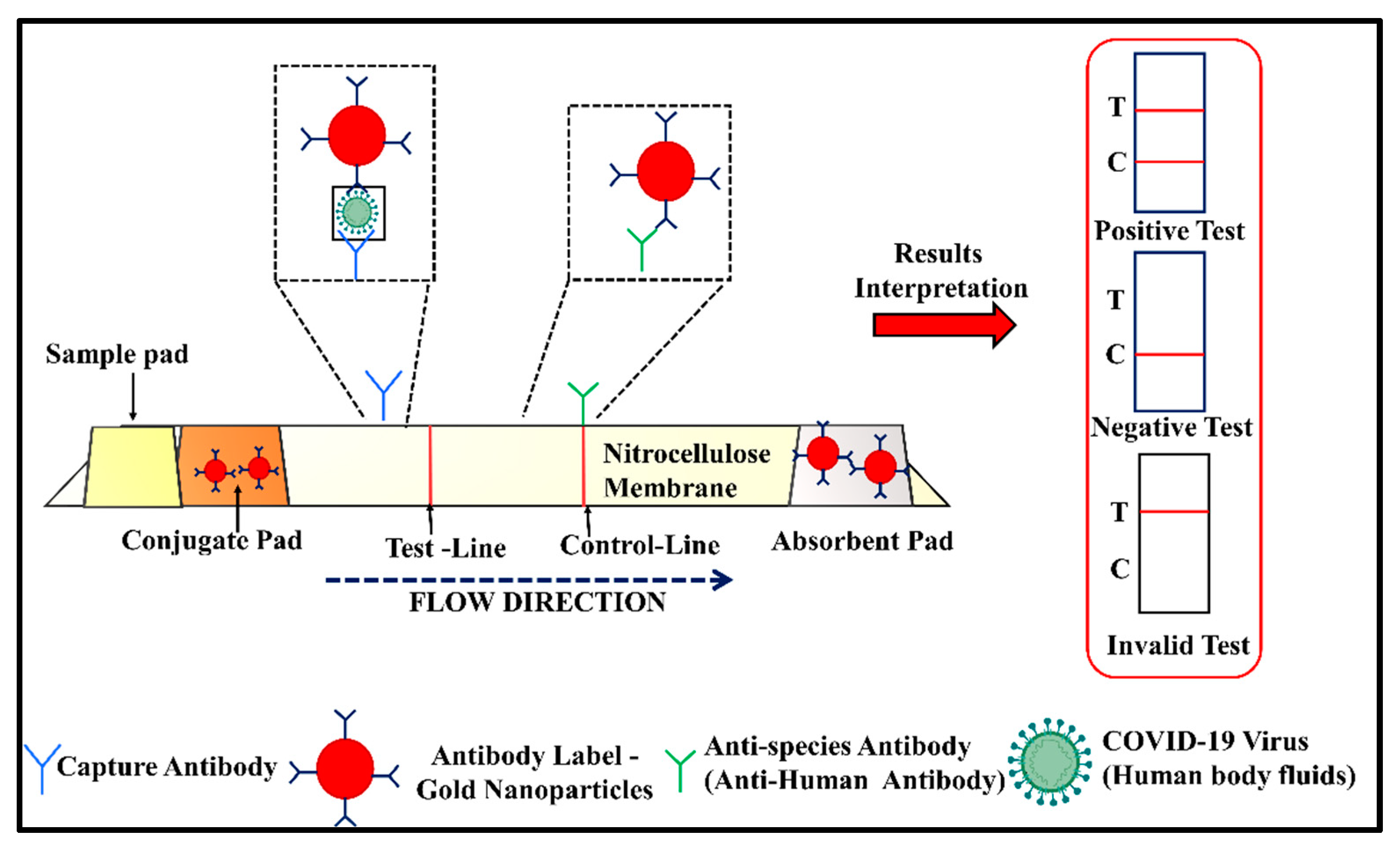 Vaccines 10 01200 g003