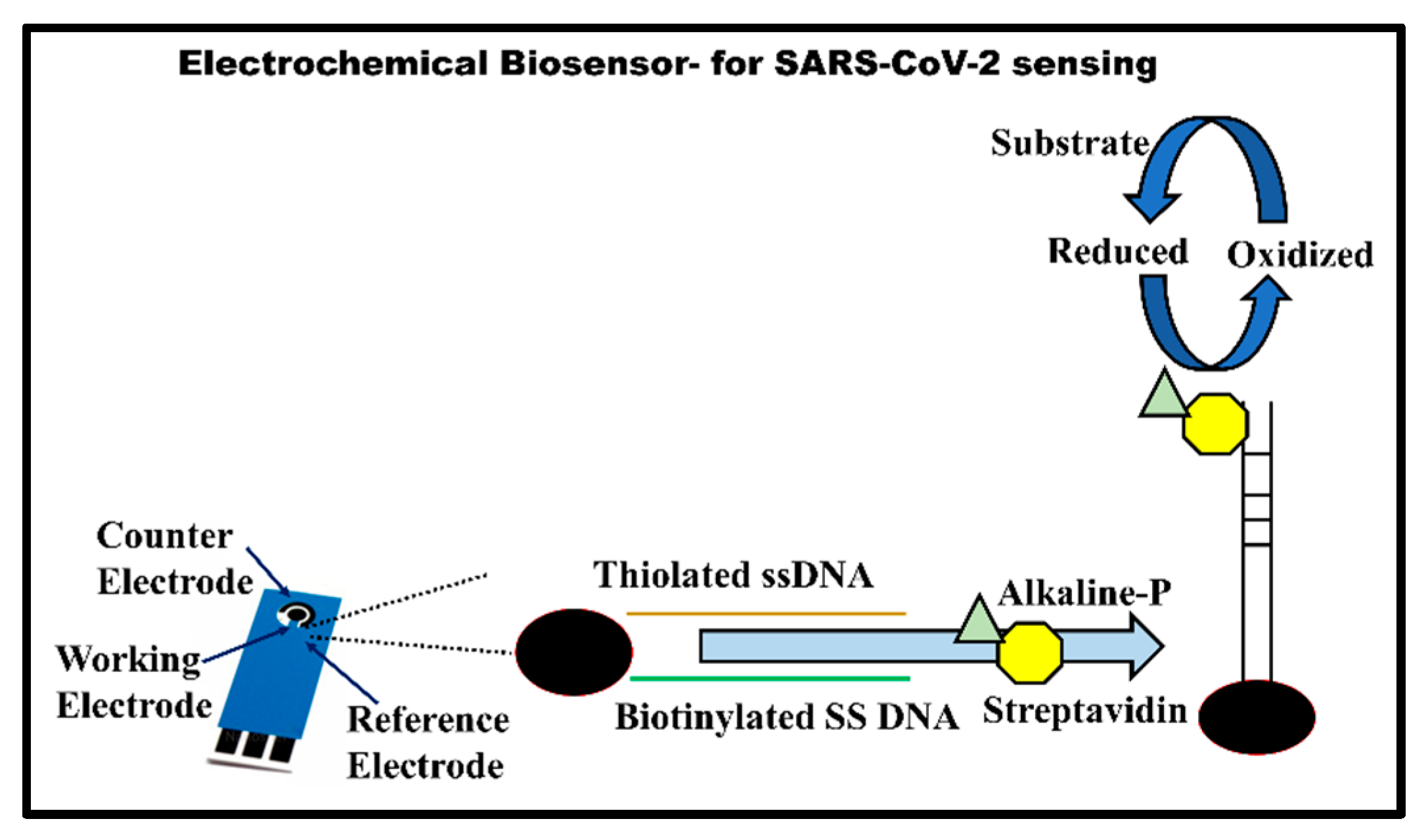 Vaccines 10 01200 g005