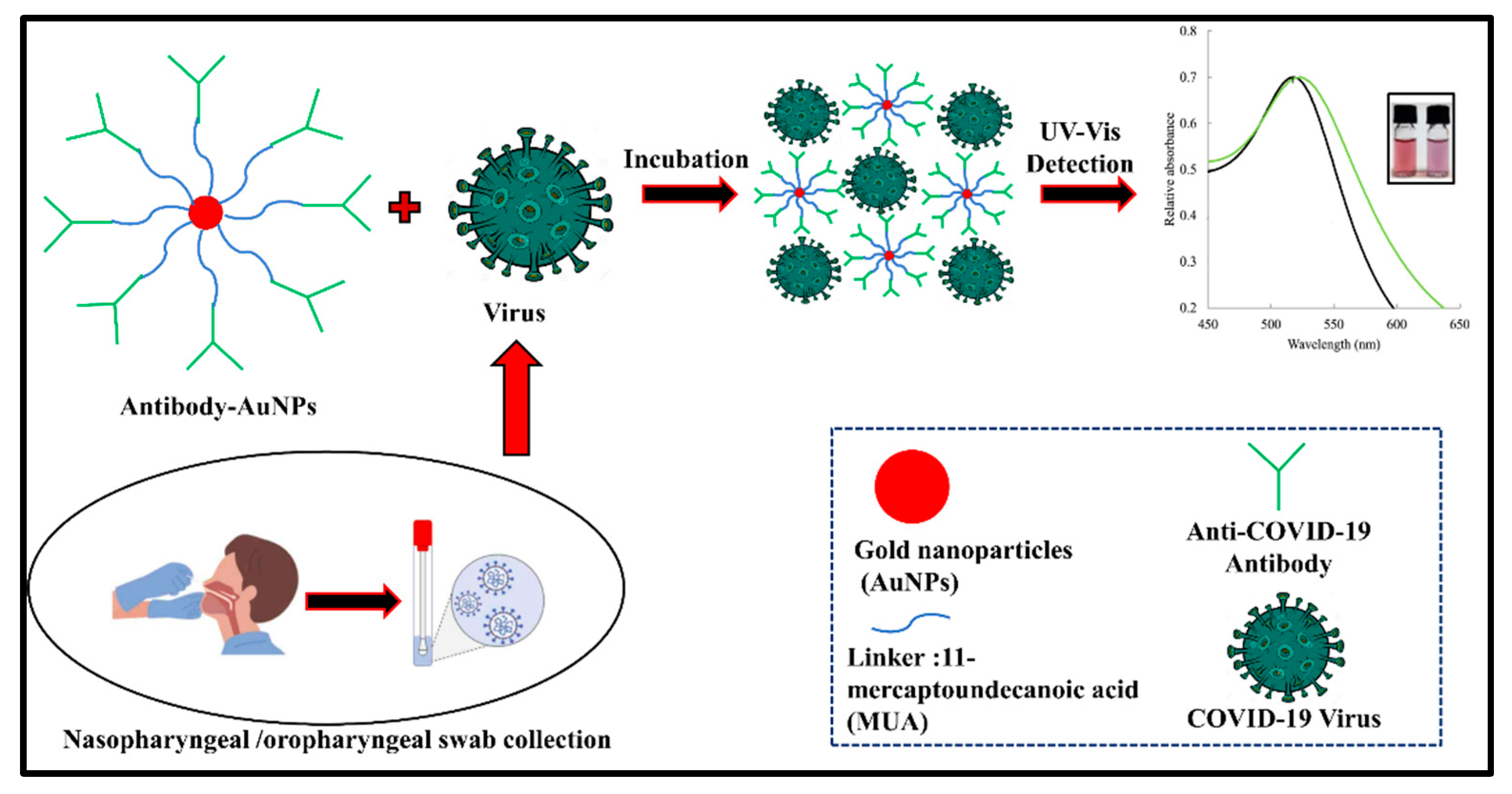 Vaccines 10 01200 g006