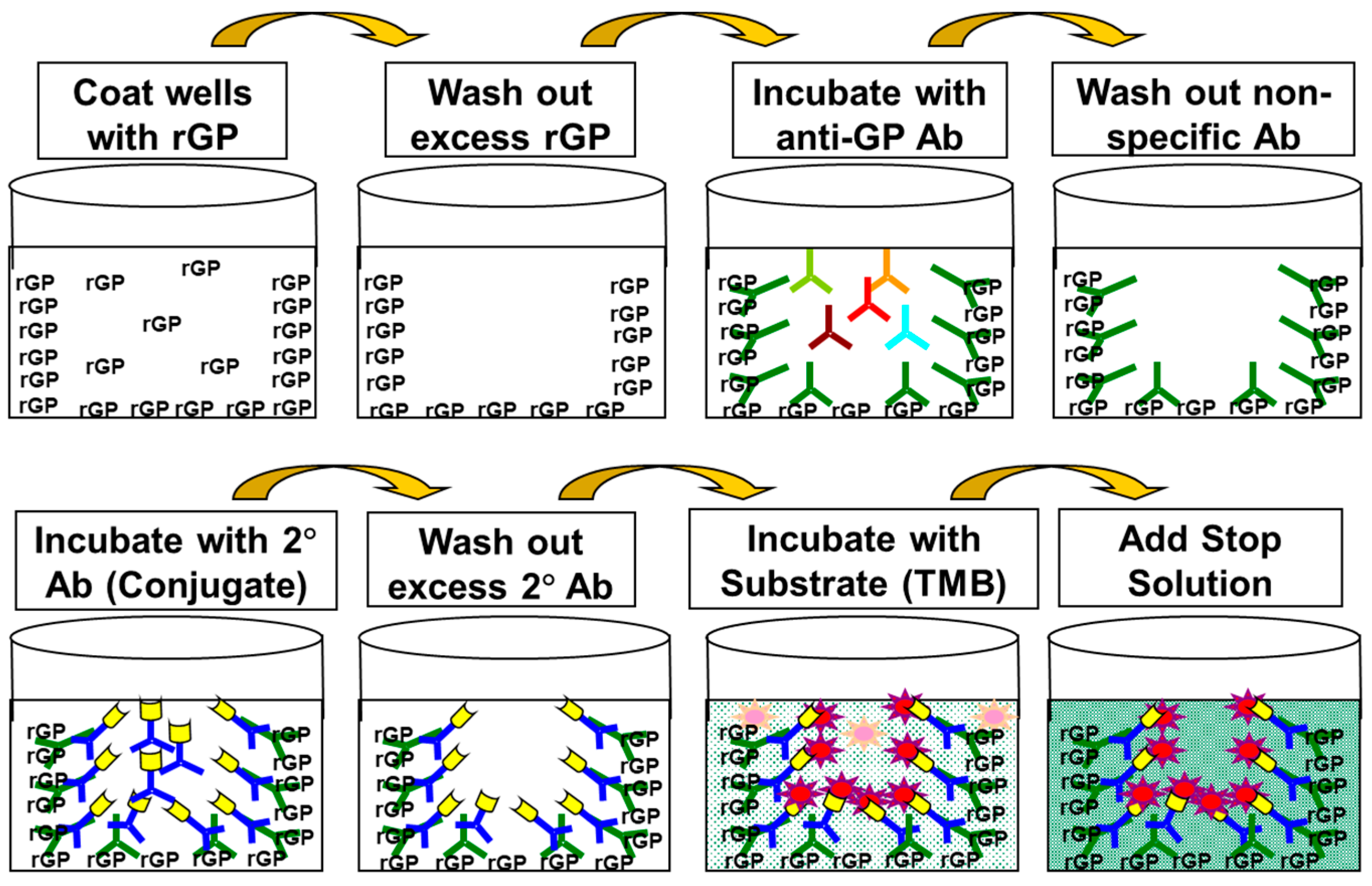 Vaccines 10 01211 g001 550