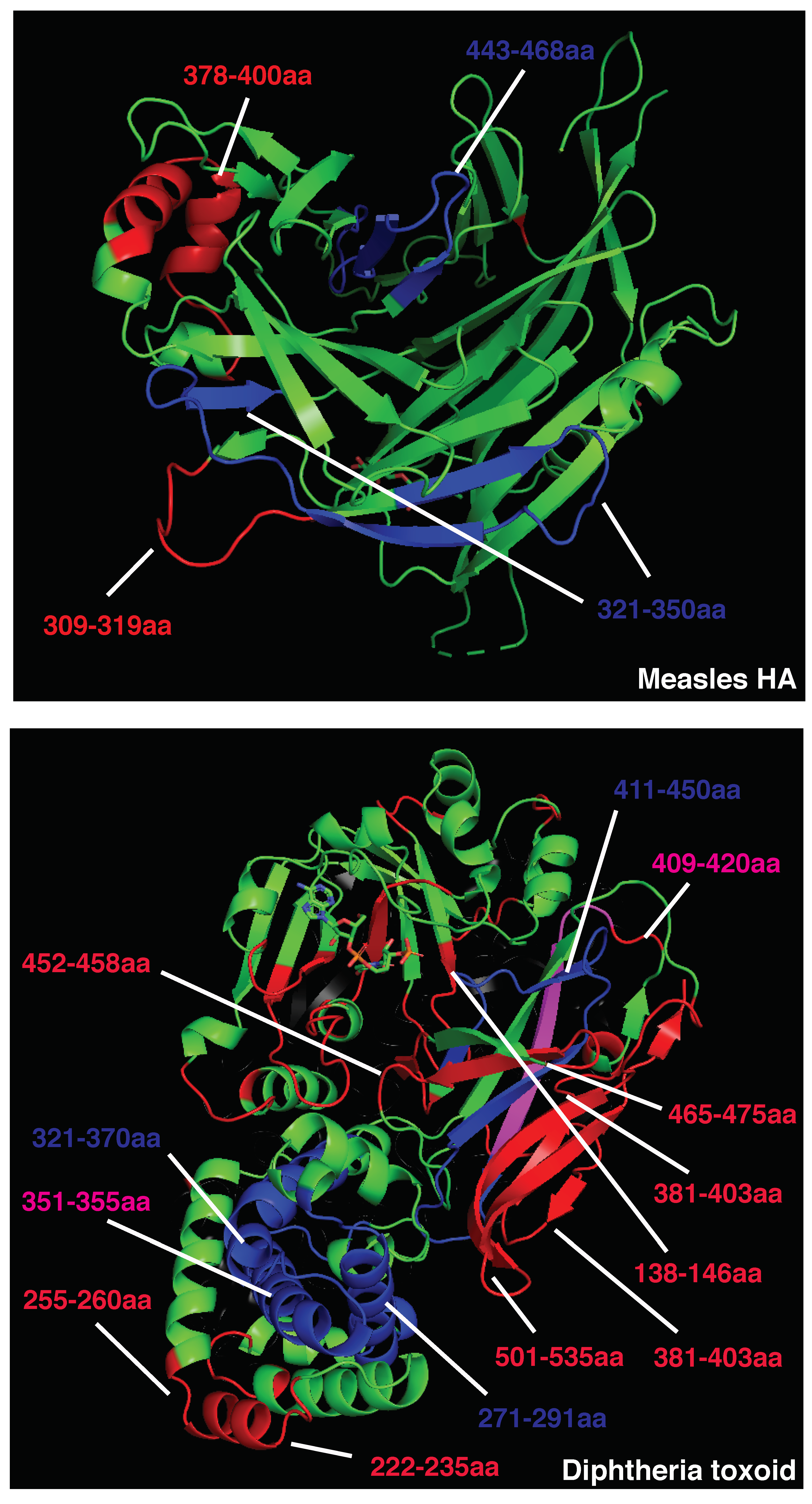 Vaccines 10 01227 g001 Vaccines 10 01227 g001