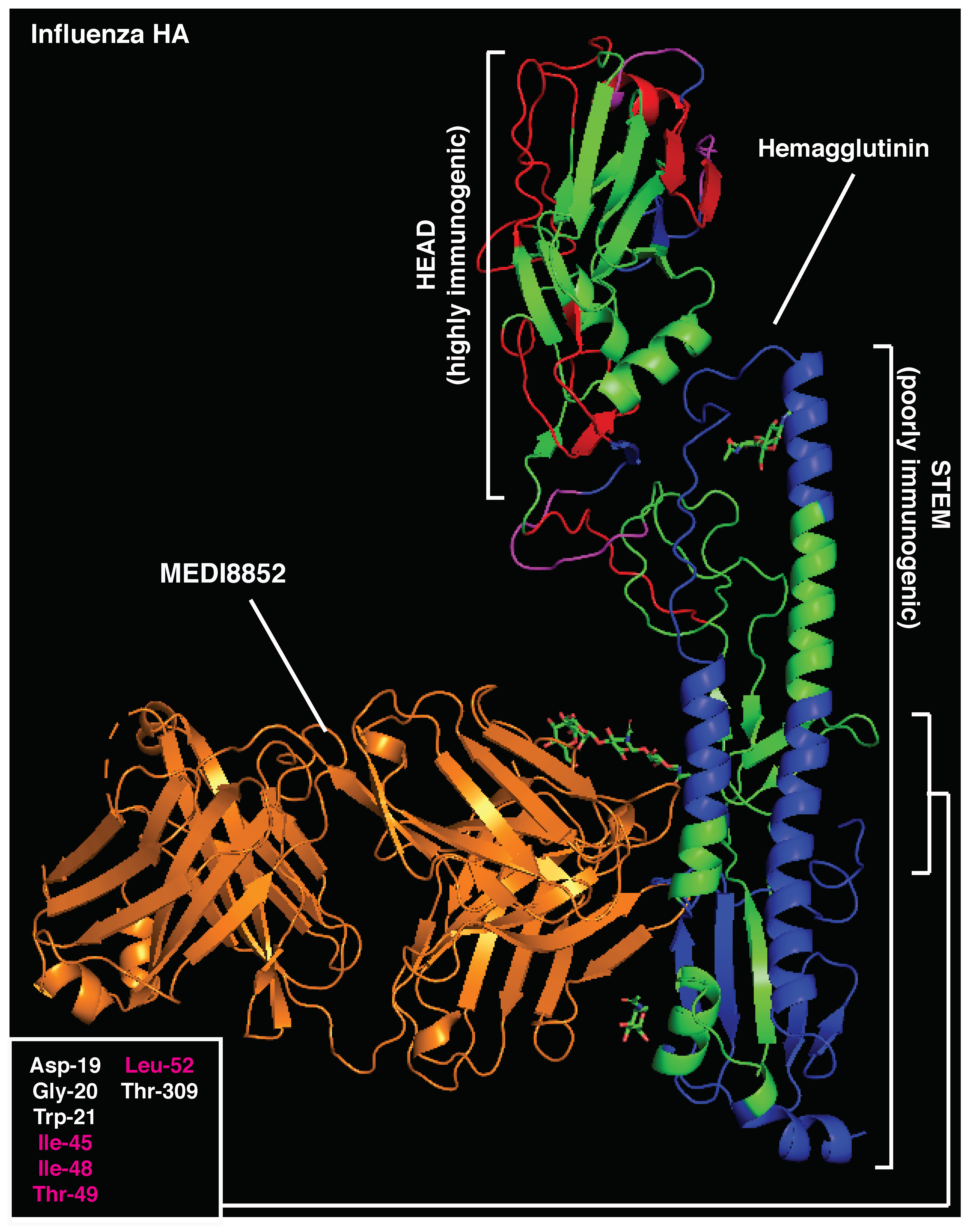 Vaccines 10 01227 g004 Vaccines 10 01227 g004