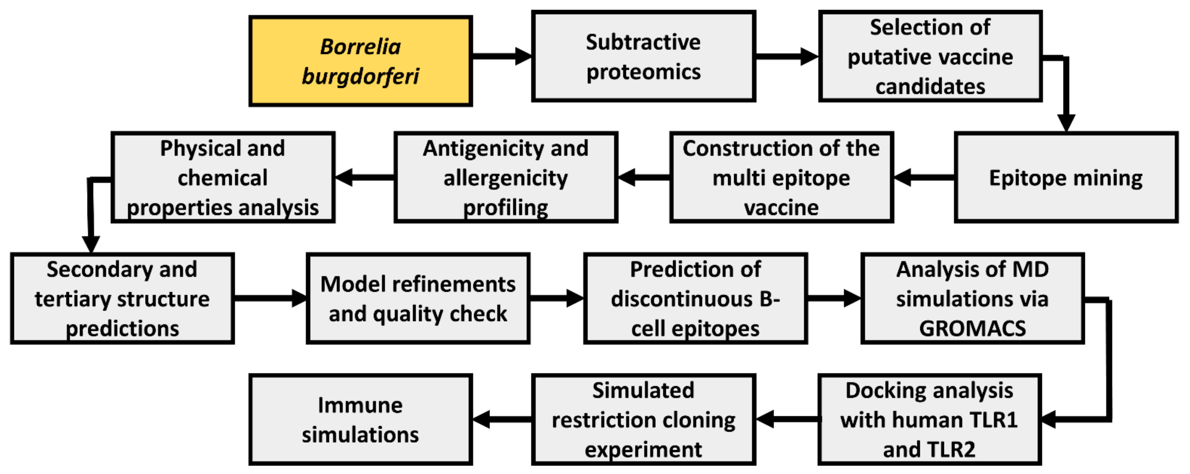 Vaccines 10 01239 g001 Vaccines 10 01239 g001