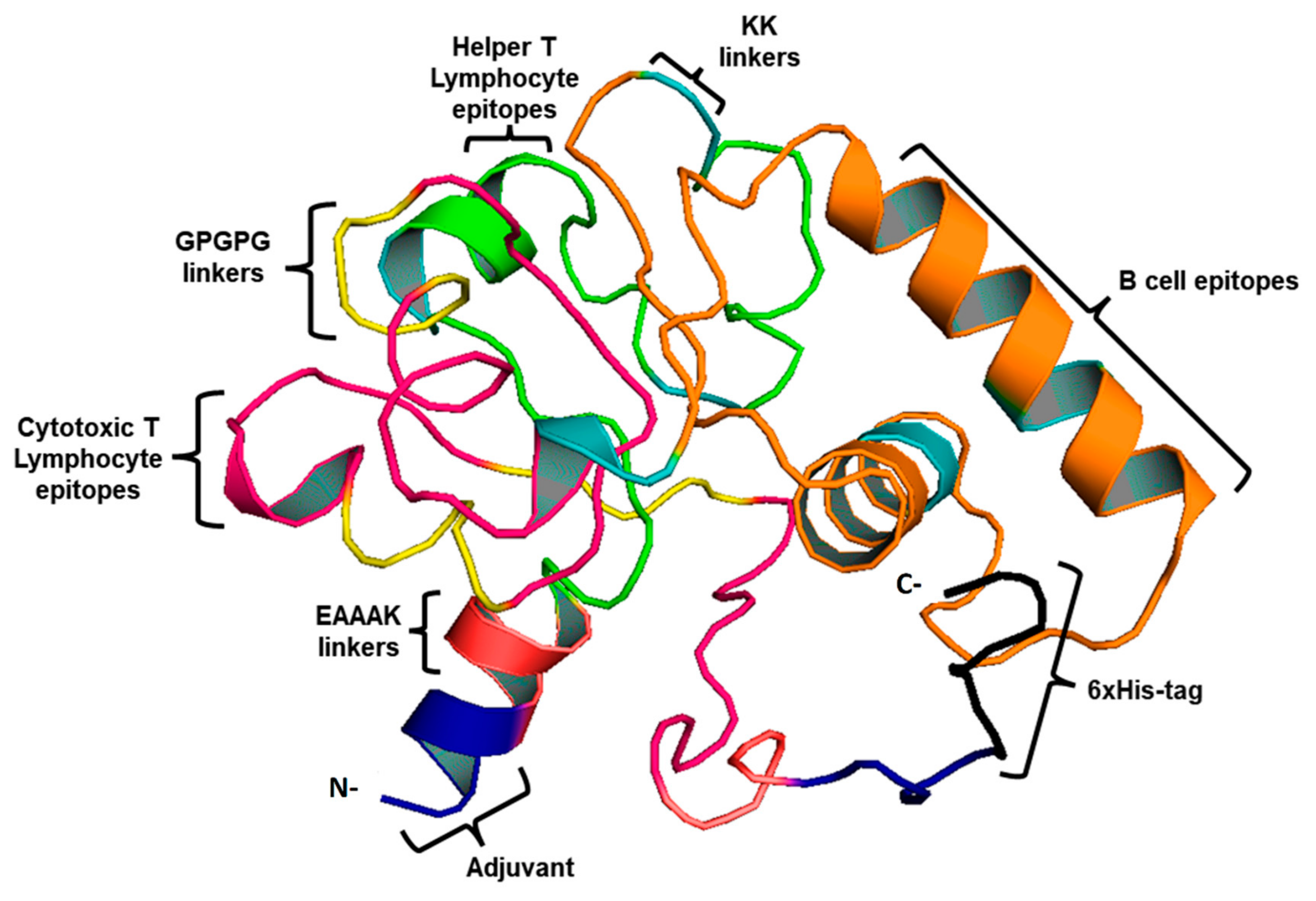 Vaccines 10 01239 g002 Vaccines 10 01239 g002