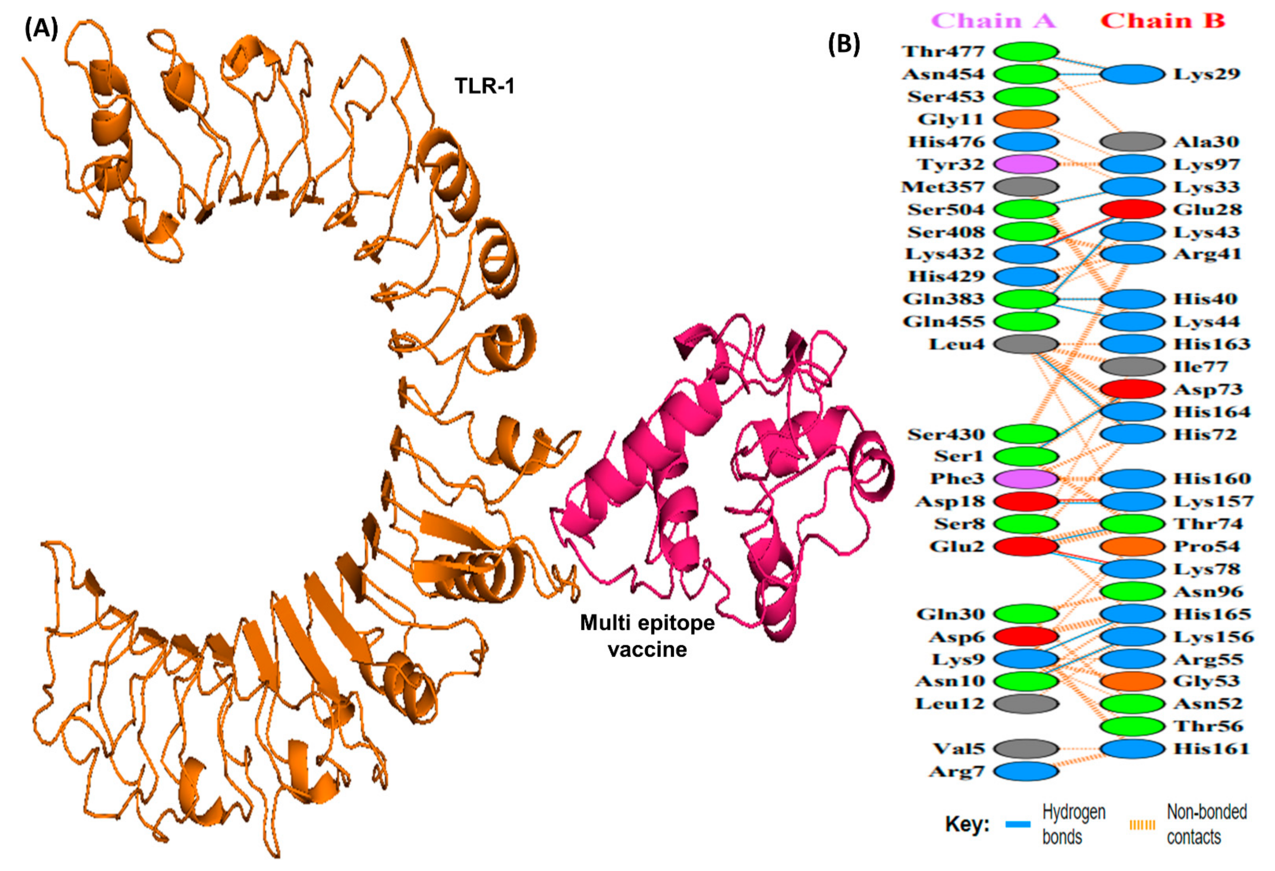 Vaccines 10 01239 g006 Vaccines 10 01239 g006