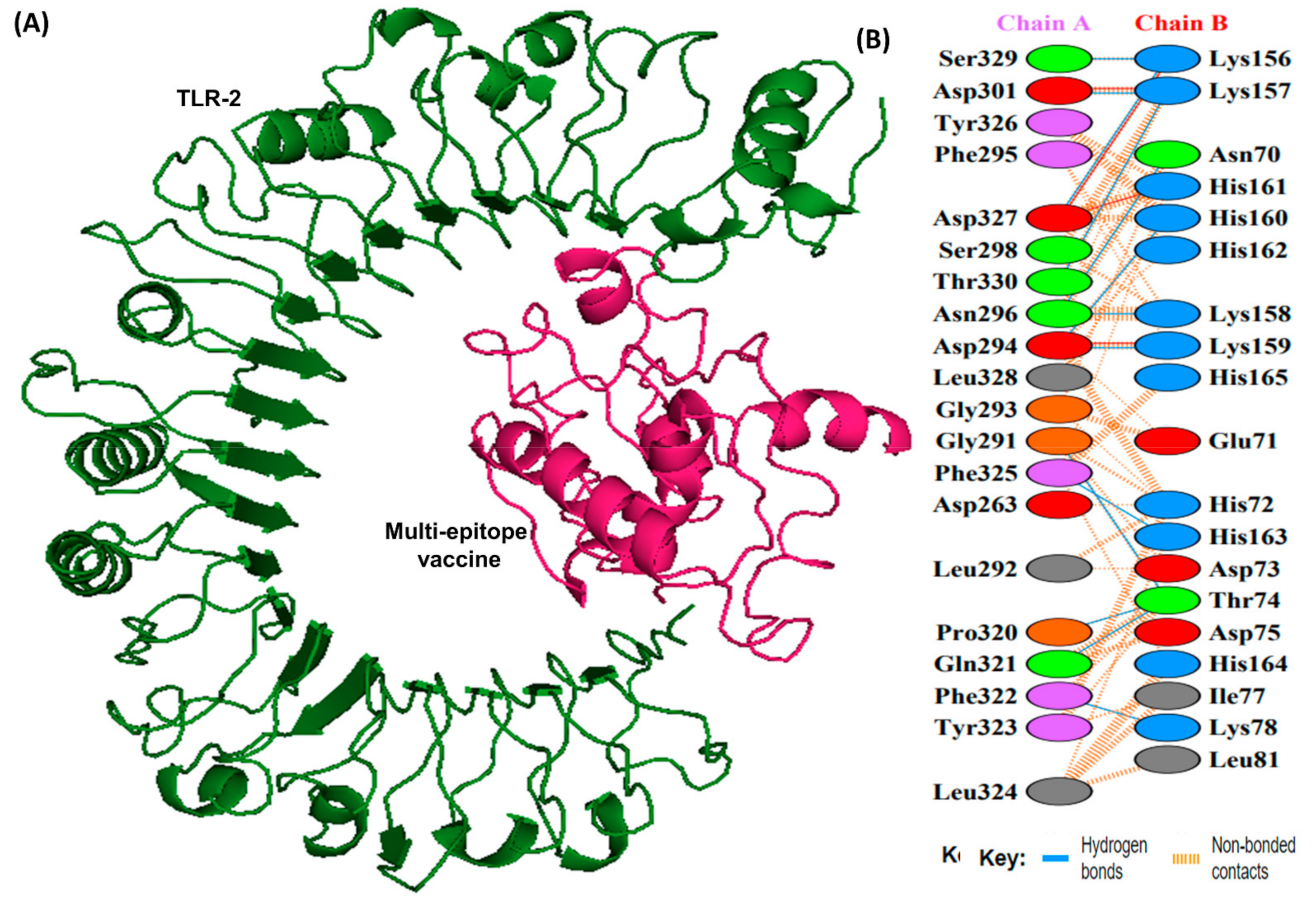 Vaccines 10 01239 g007 Vaccines 10 01239 g007