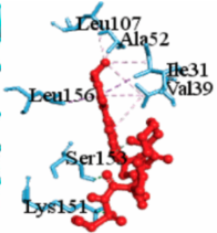 Vaccines 10 01248 i015