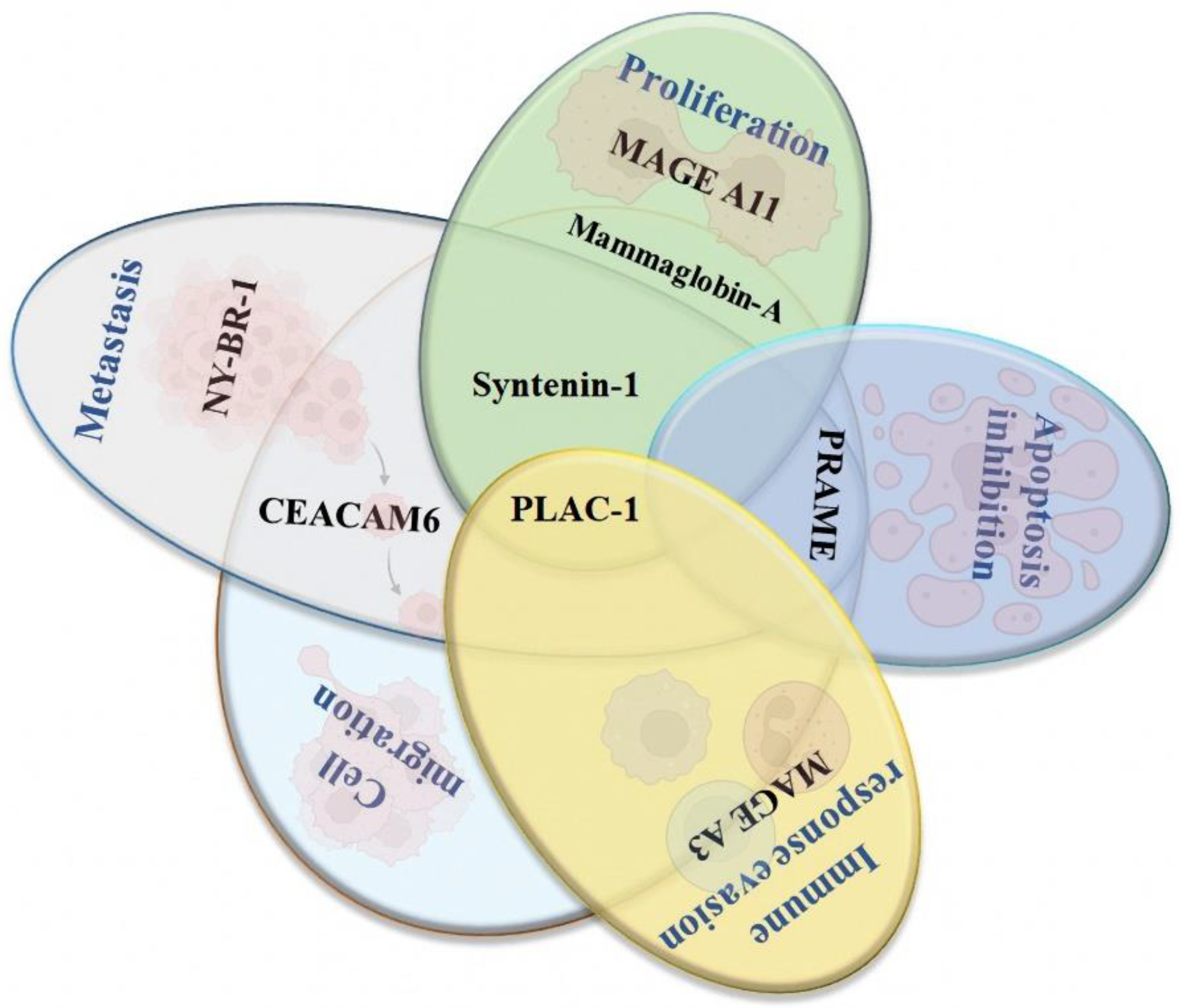 Vaccines 10 01249 g003