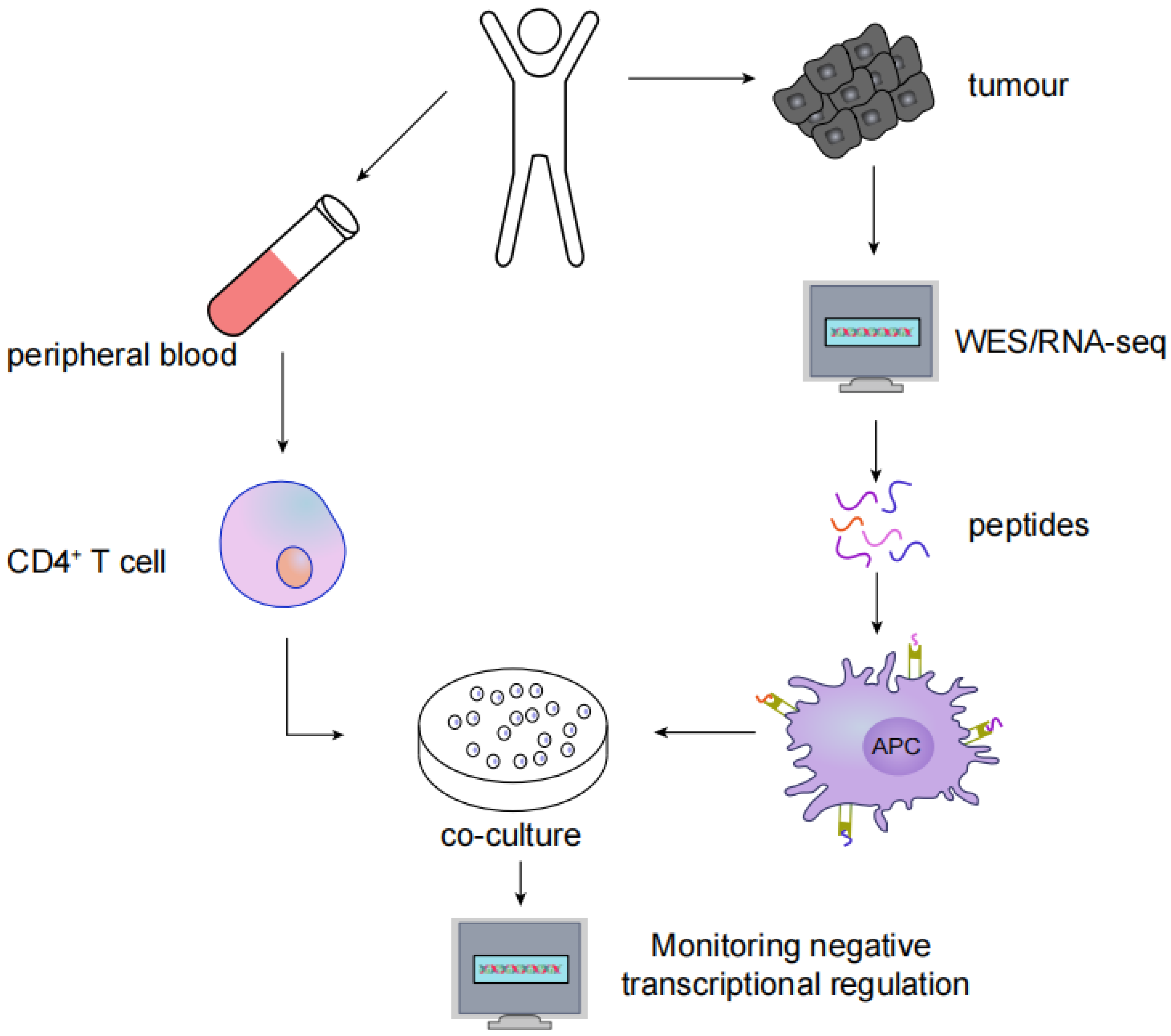 Vaccines 10 01272 g003