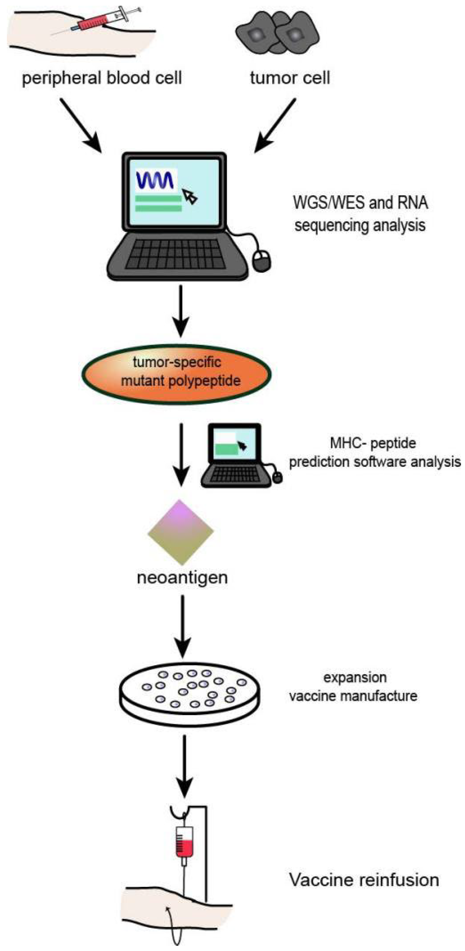 Vaccines 10 01272 g004
