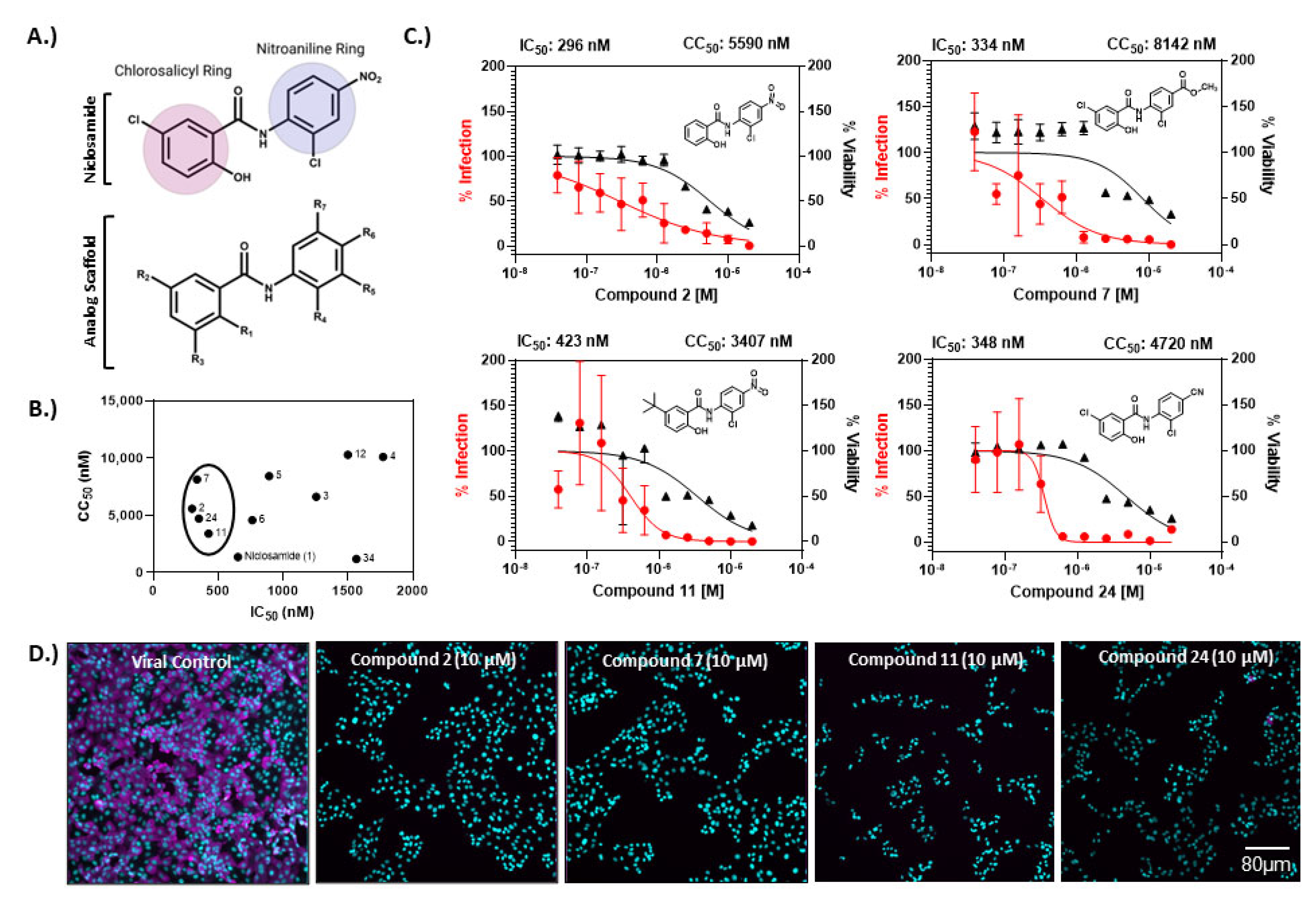 Vaccines 10 01284 g004 550