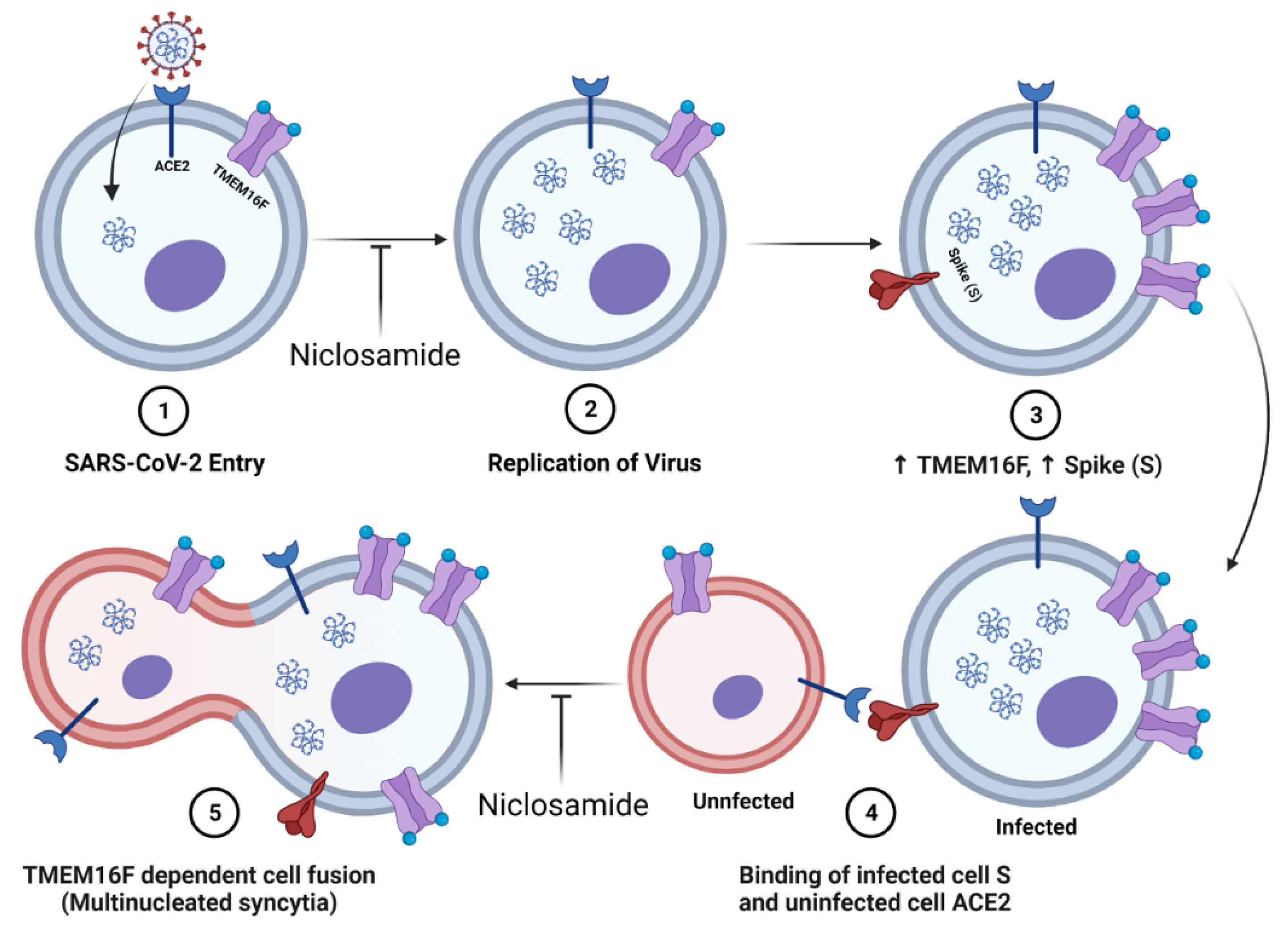 Vaccines 10 01284 g006 550