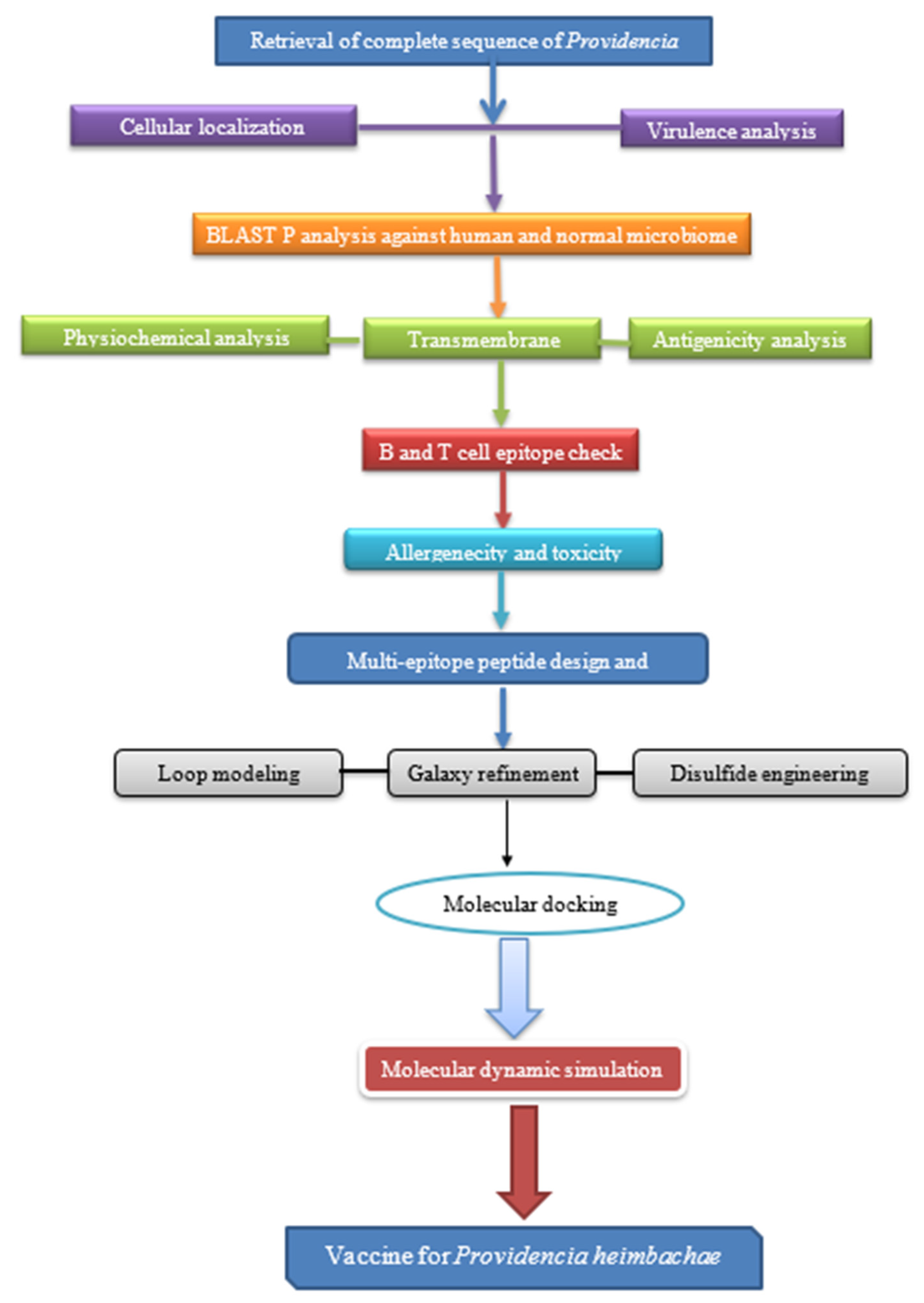 Vaccines 10 01300 g001