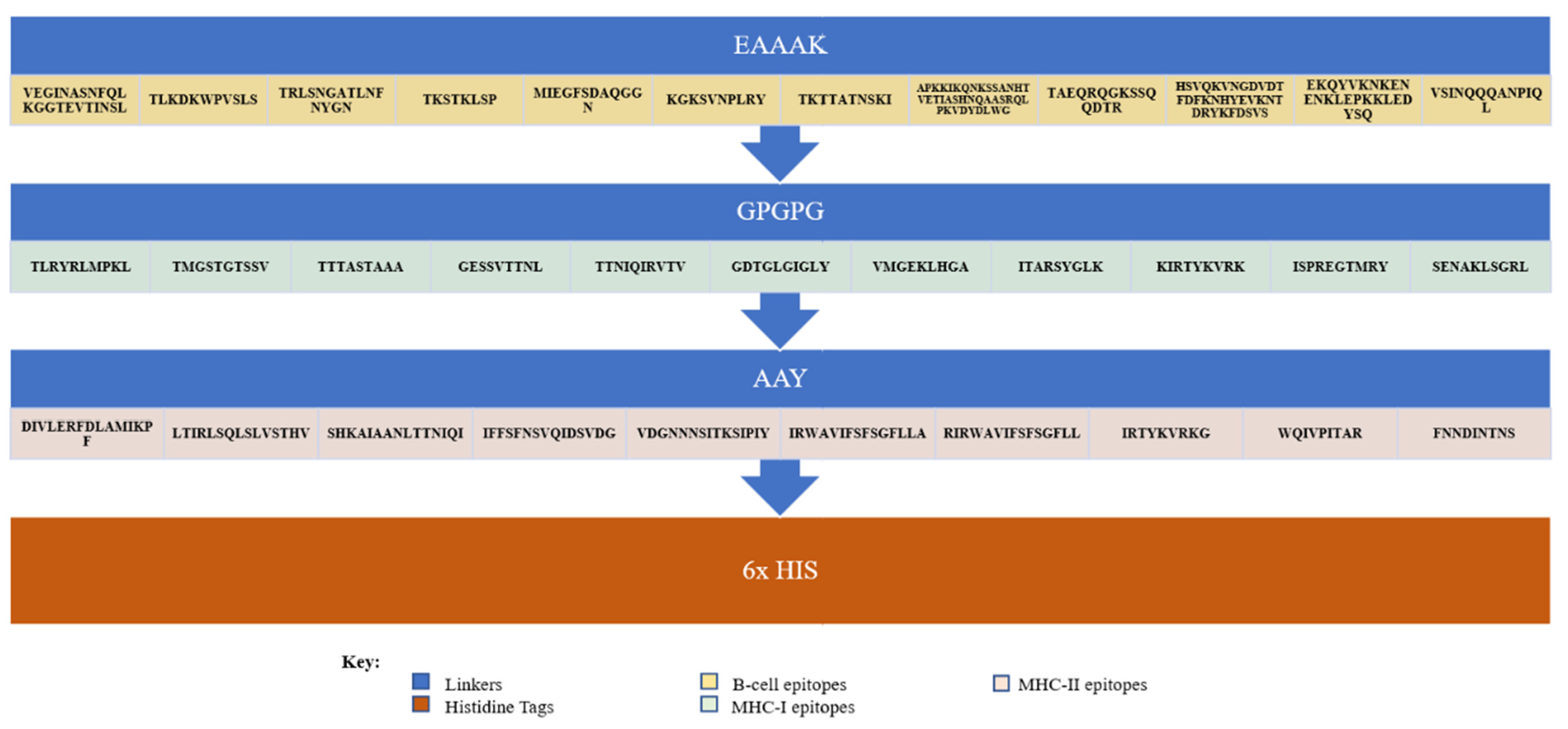 Vaccines 10 01300 g002