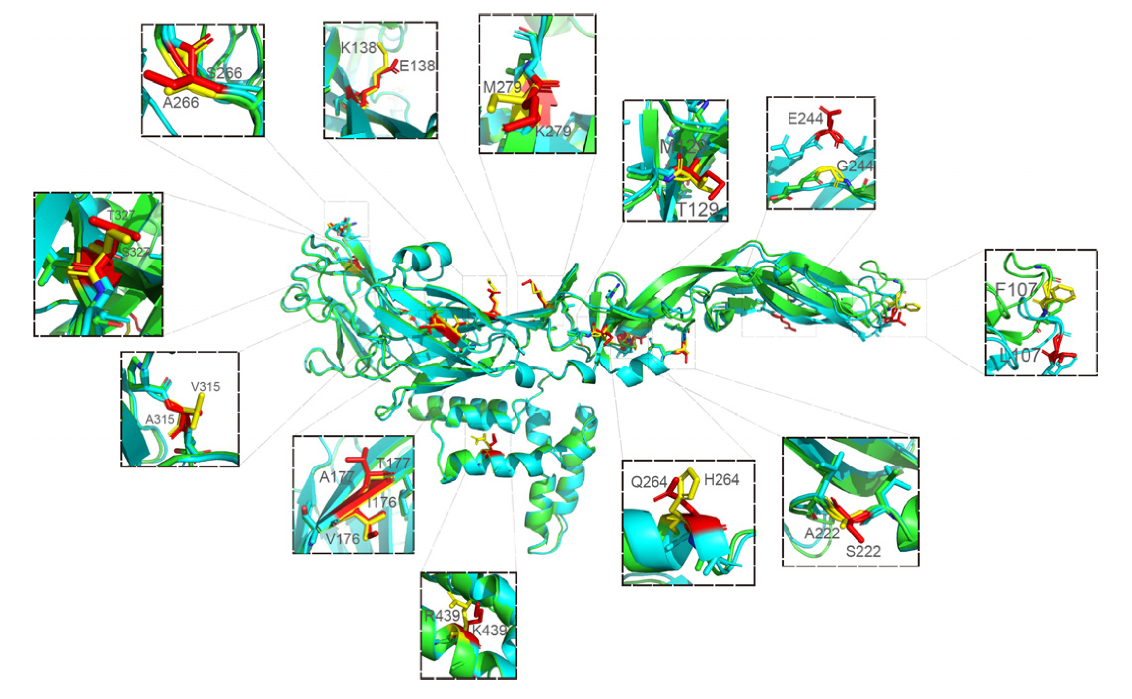 Vaccines 10 01303 g010