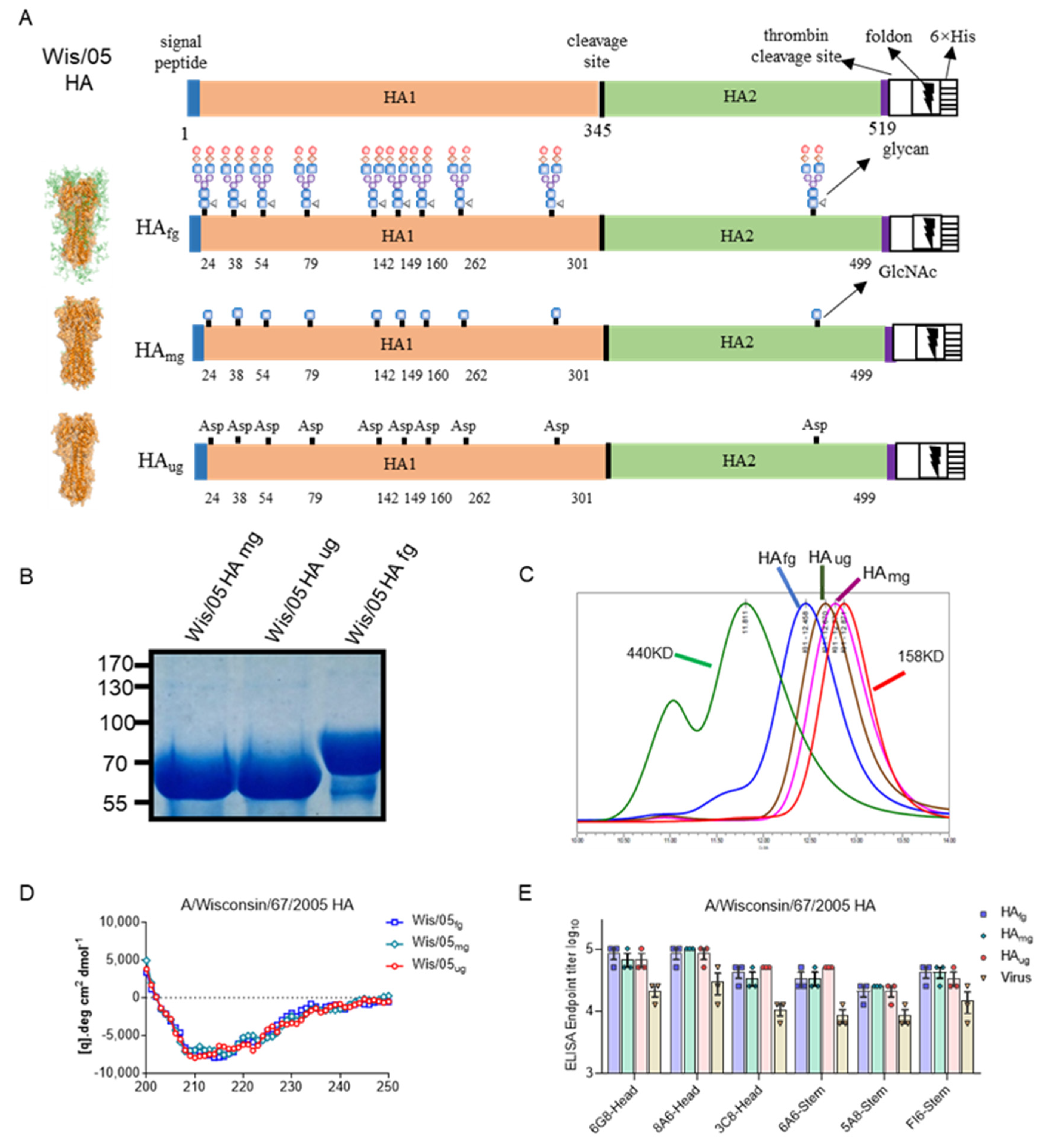 Vaccines 10 01304 g001 550