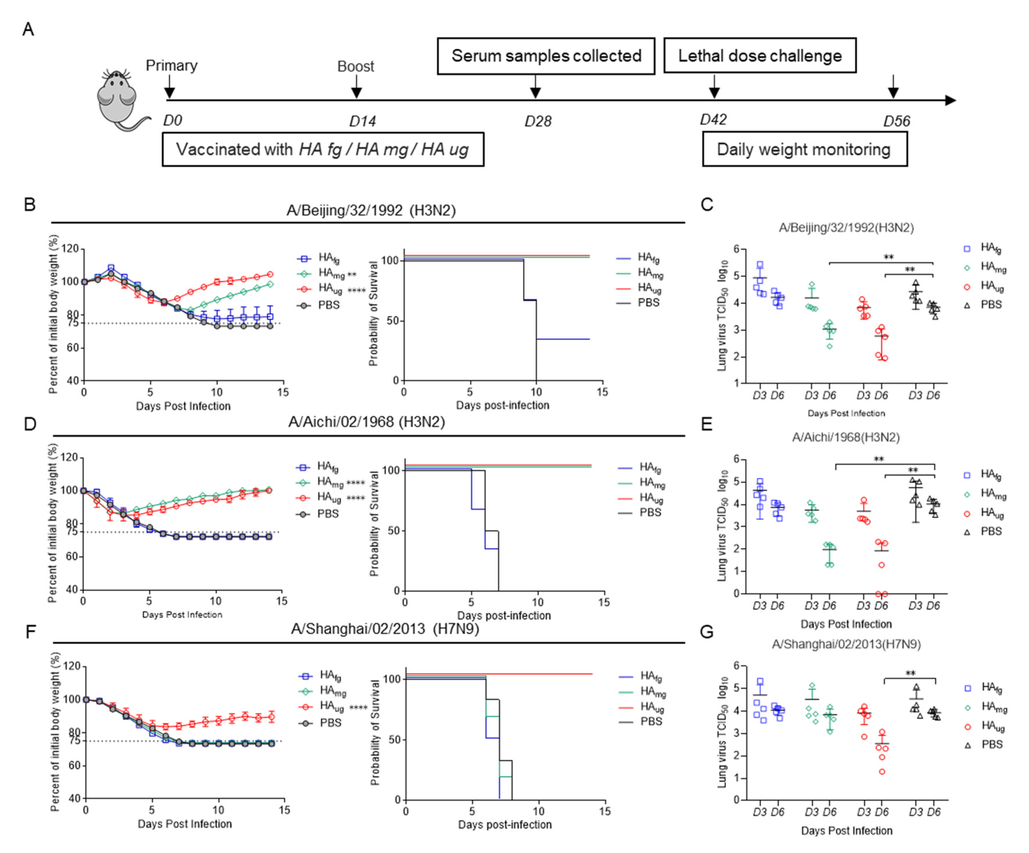 Vaccines 10 01304 g003 550