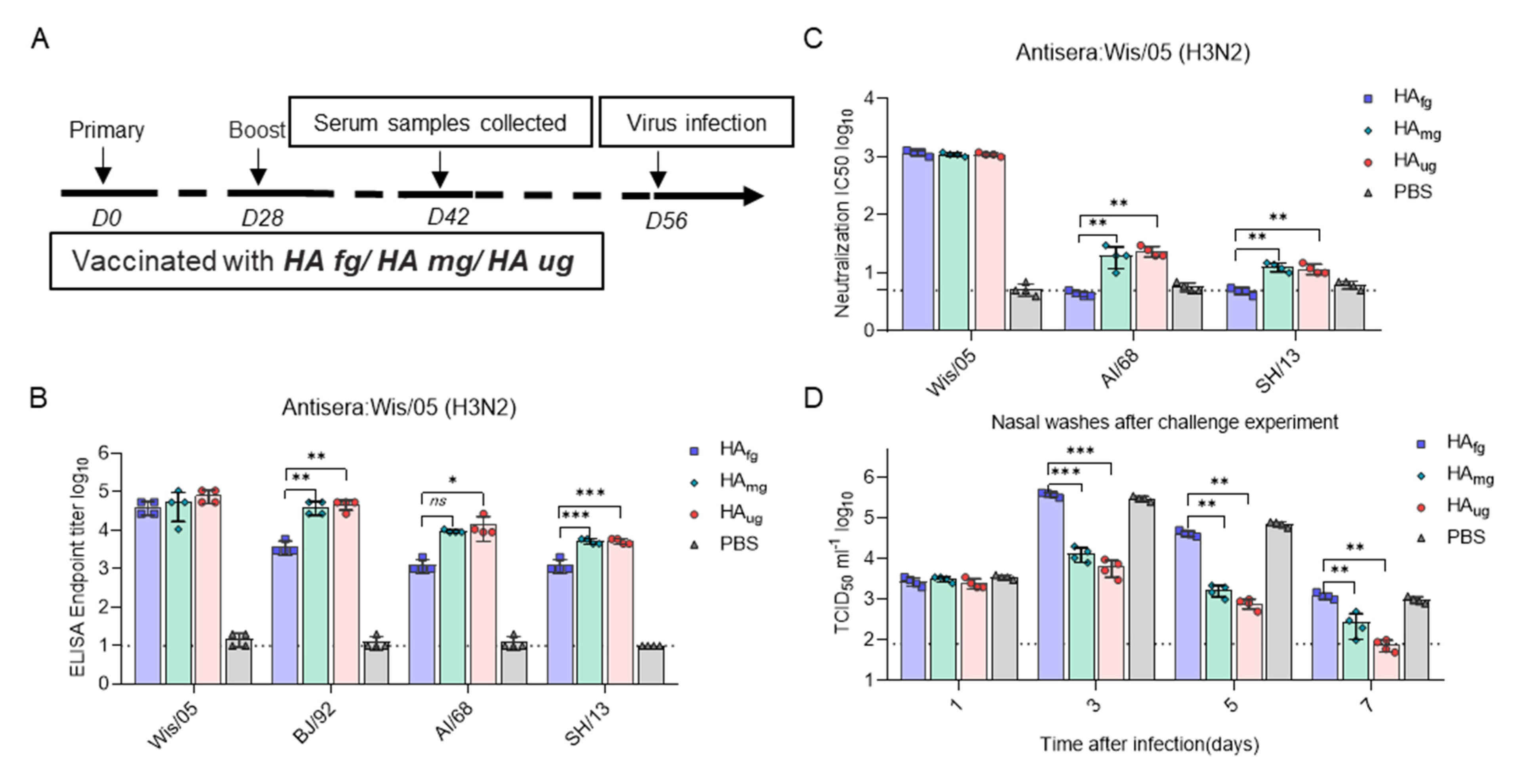 Vaccines 10 01304 g004 550