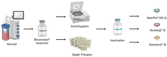 Q-Products, Q-Buffers™ Q Buffer, #4 Q-Products, Q-Buffers™ Q Buffer, #4