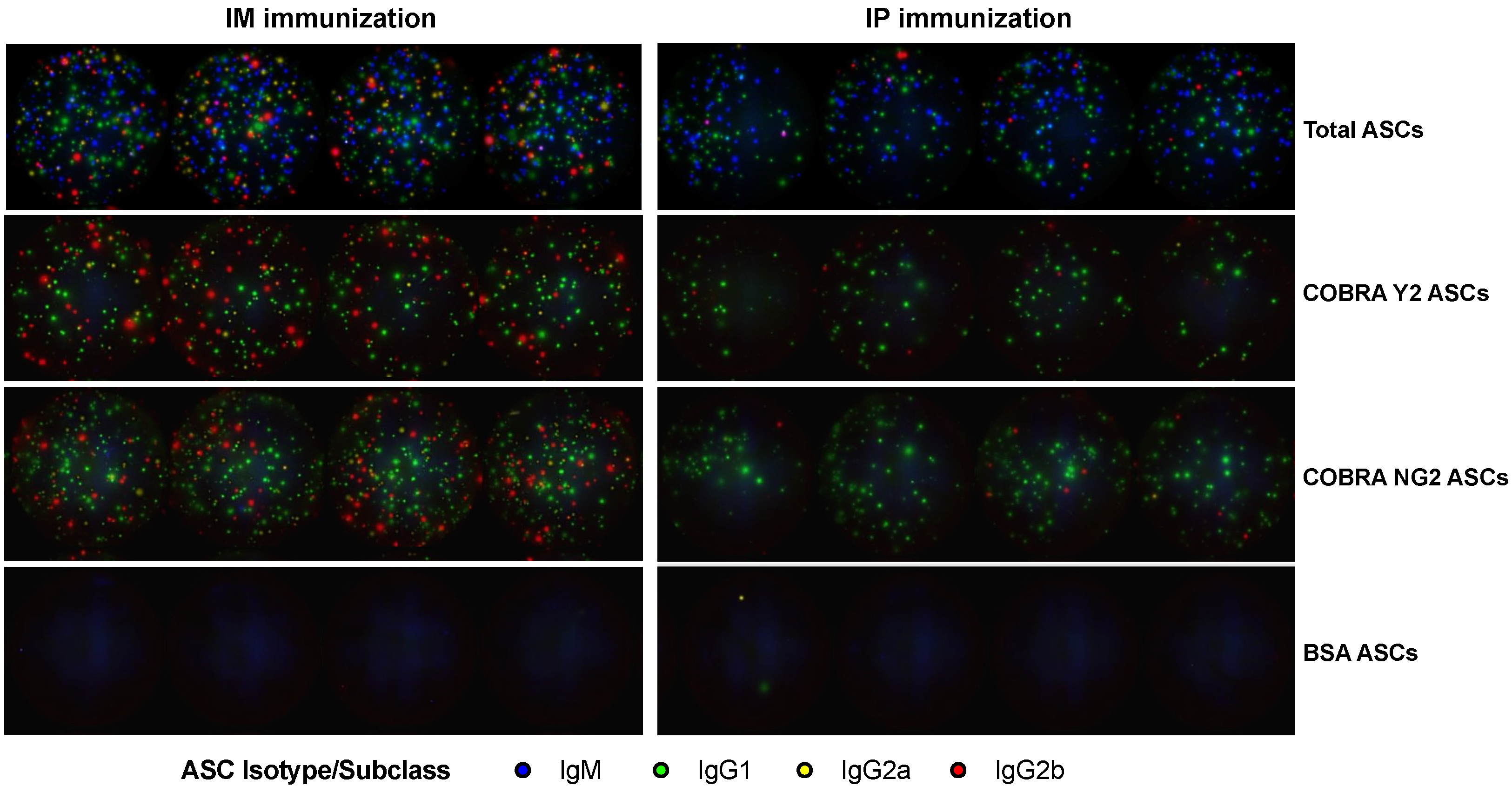 Vaccines 10 01315 g005