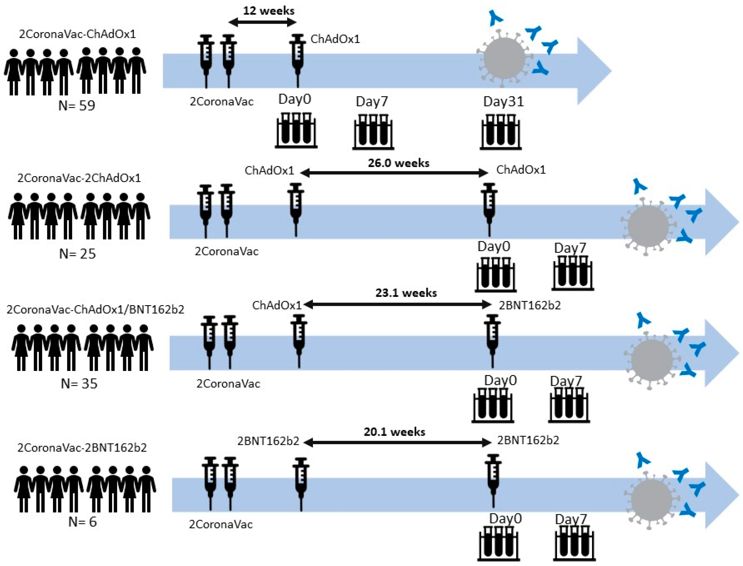 Vaccines 10 01321 g001 550