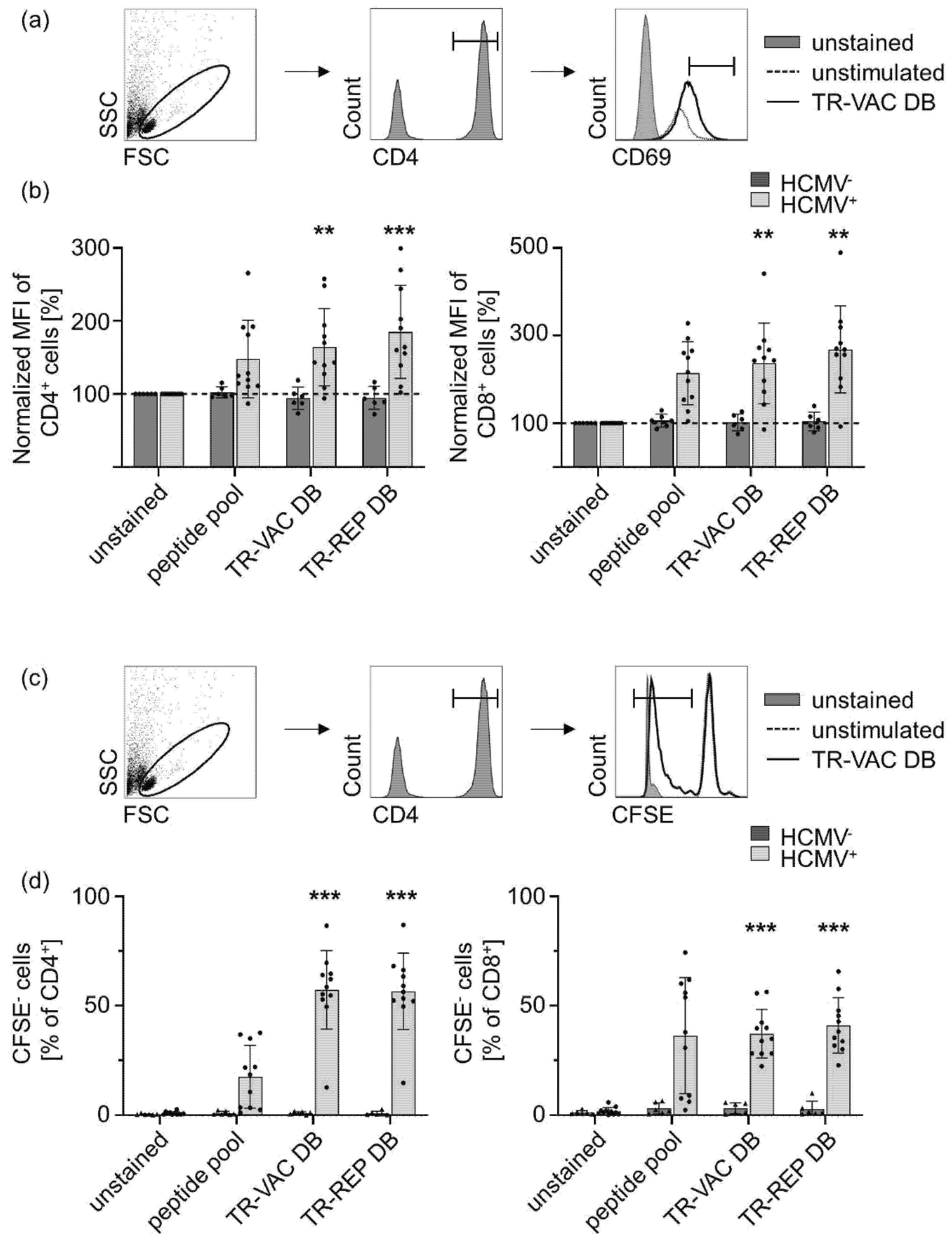 Vaccines 10 01326 g006 Vaccines 10 01326 g006