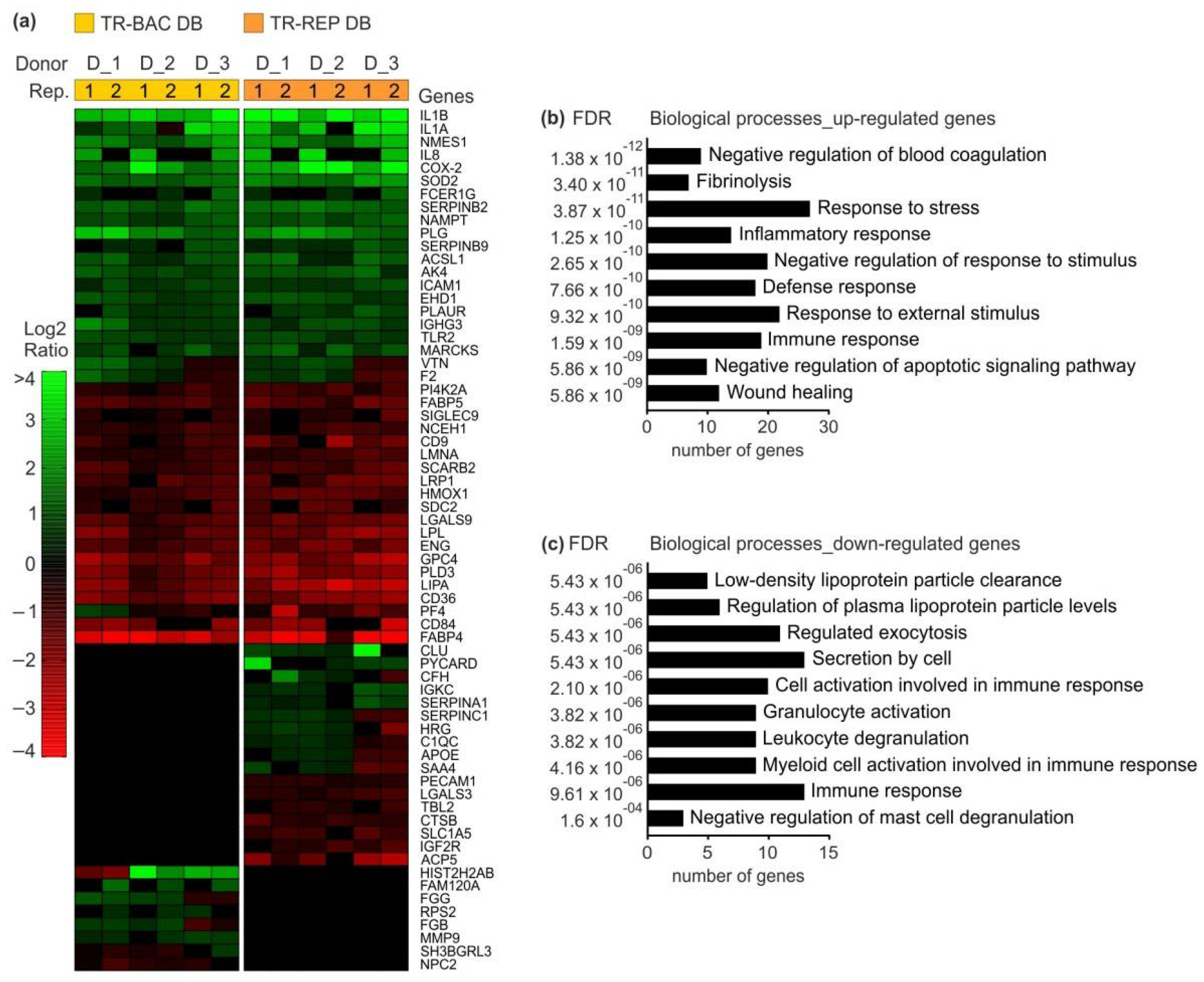 Vaccines 10 01326 g007 Vaccines 10 01326 g007