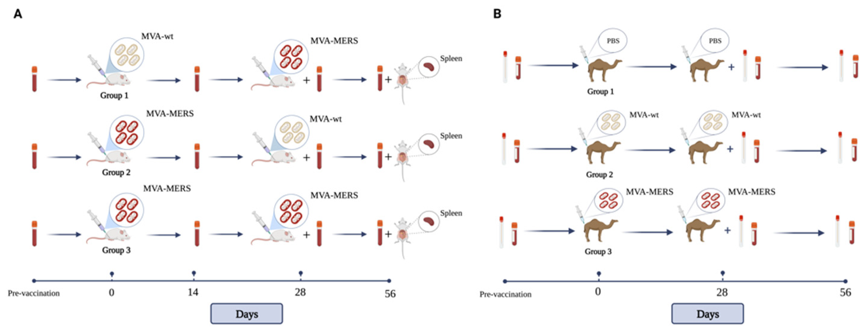 Vaccines 10 01330 g001