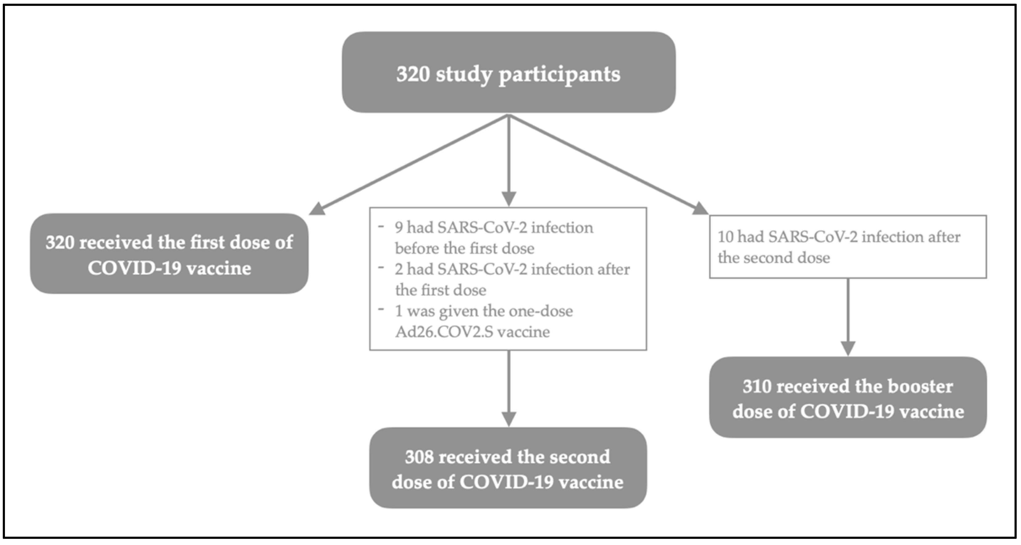 Vaccines 10 01353 g001 550