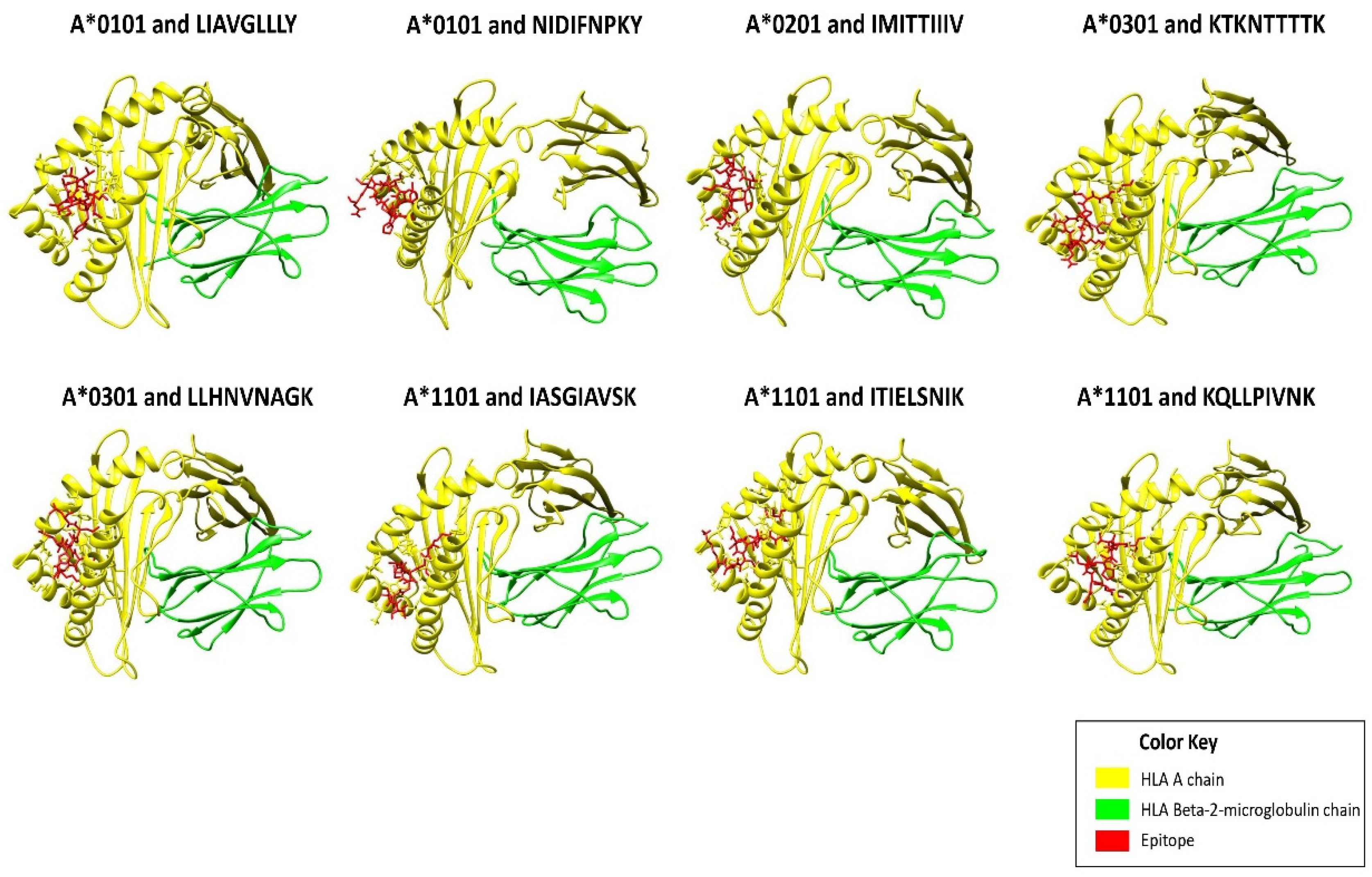 Vaccines 10 01381 g001