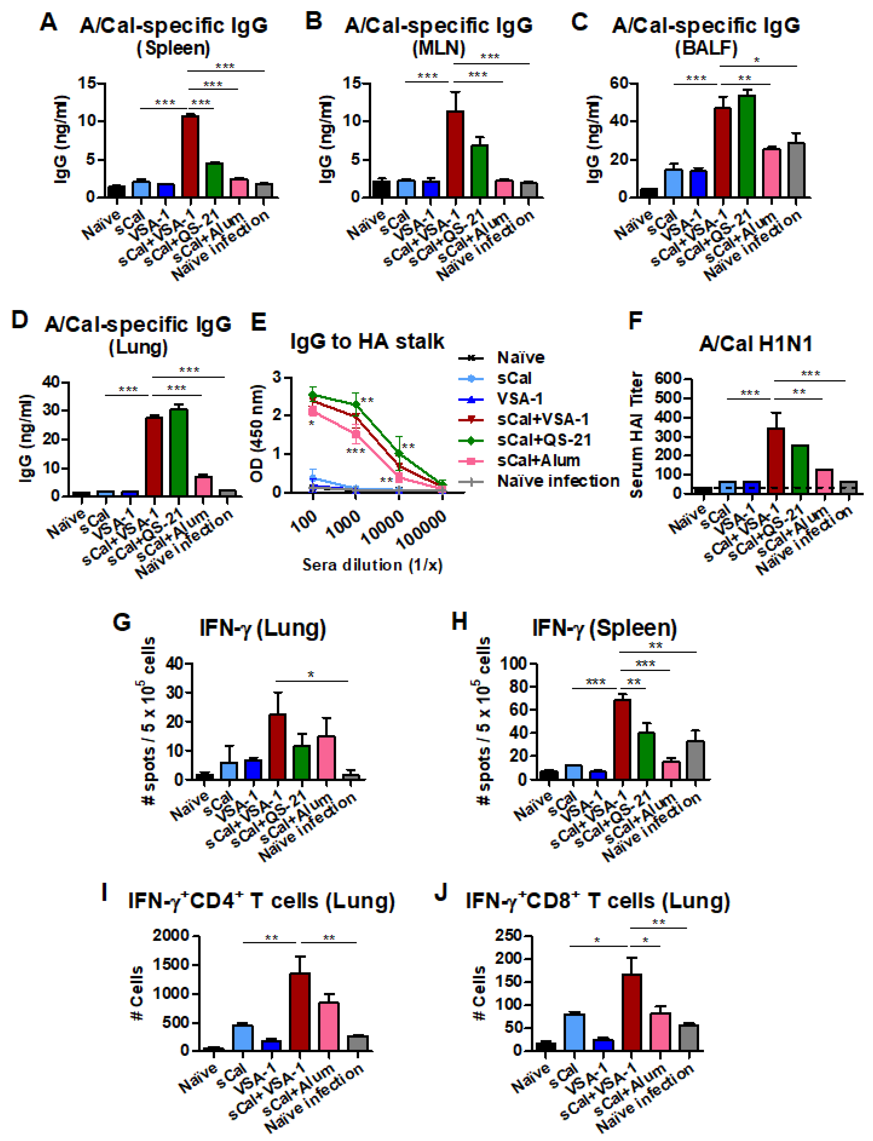 Vaccines 10 01383 g004