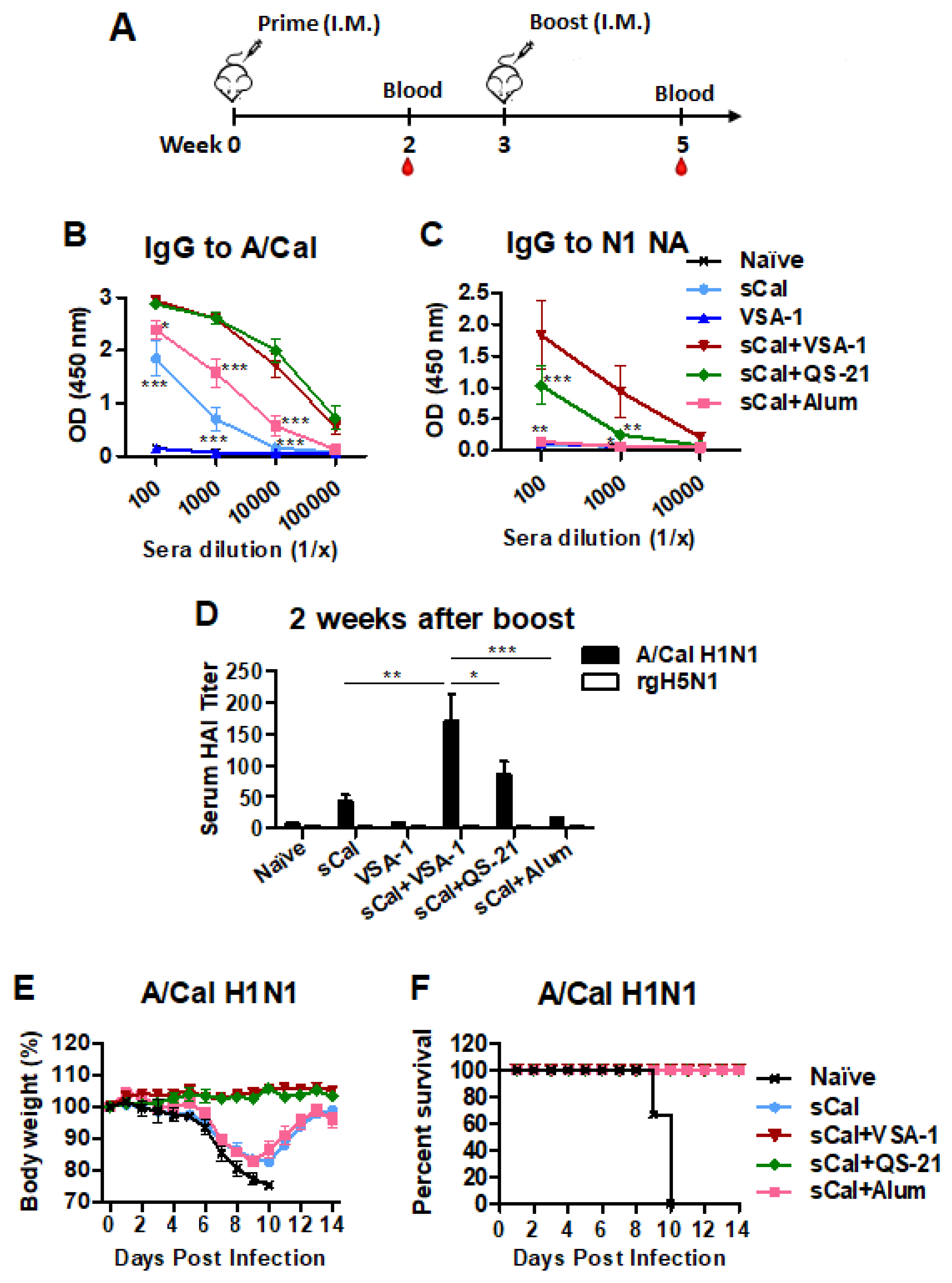 Vaccines 10 01383 g005