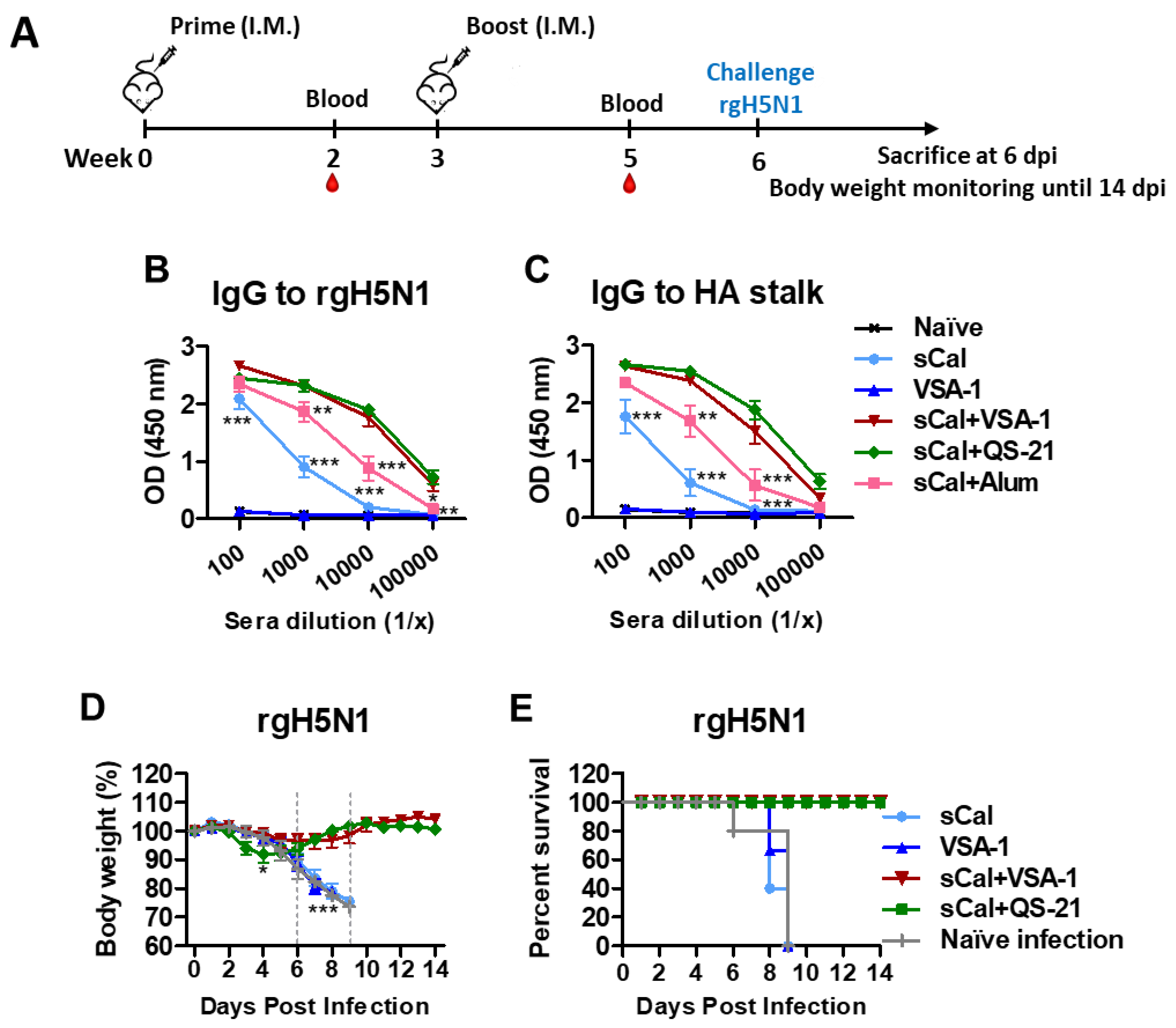 Vaccines 10 01383 g006