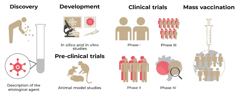 Vaccines 10 01385 g002 550