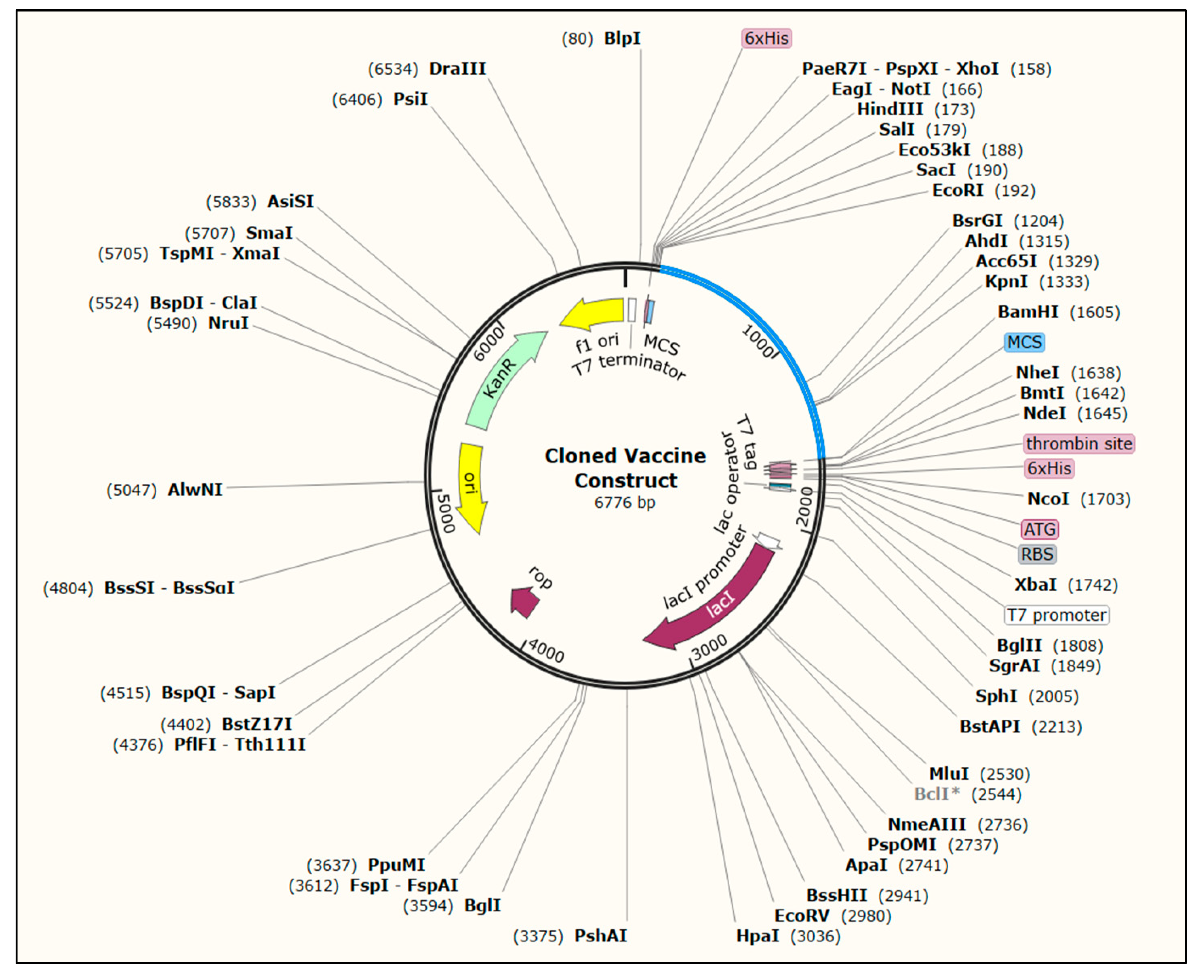 Vaccines 10 01389 g008