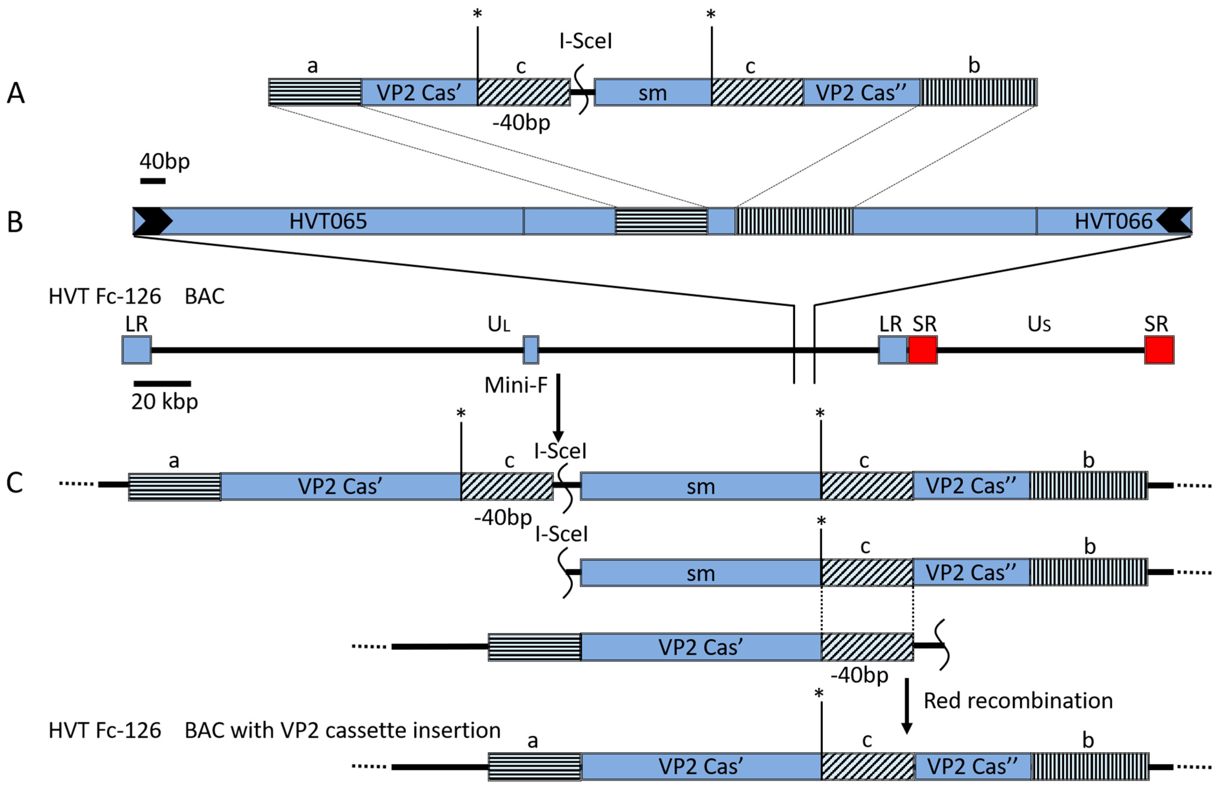 Vaccines 10 01391 g001 Vaccines 10 01391 g001