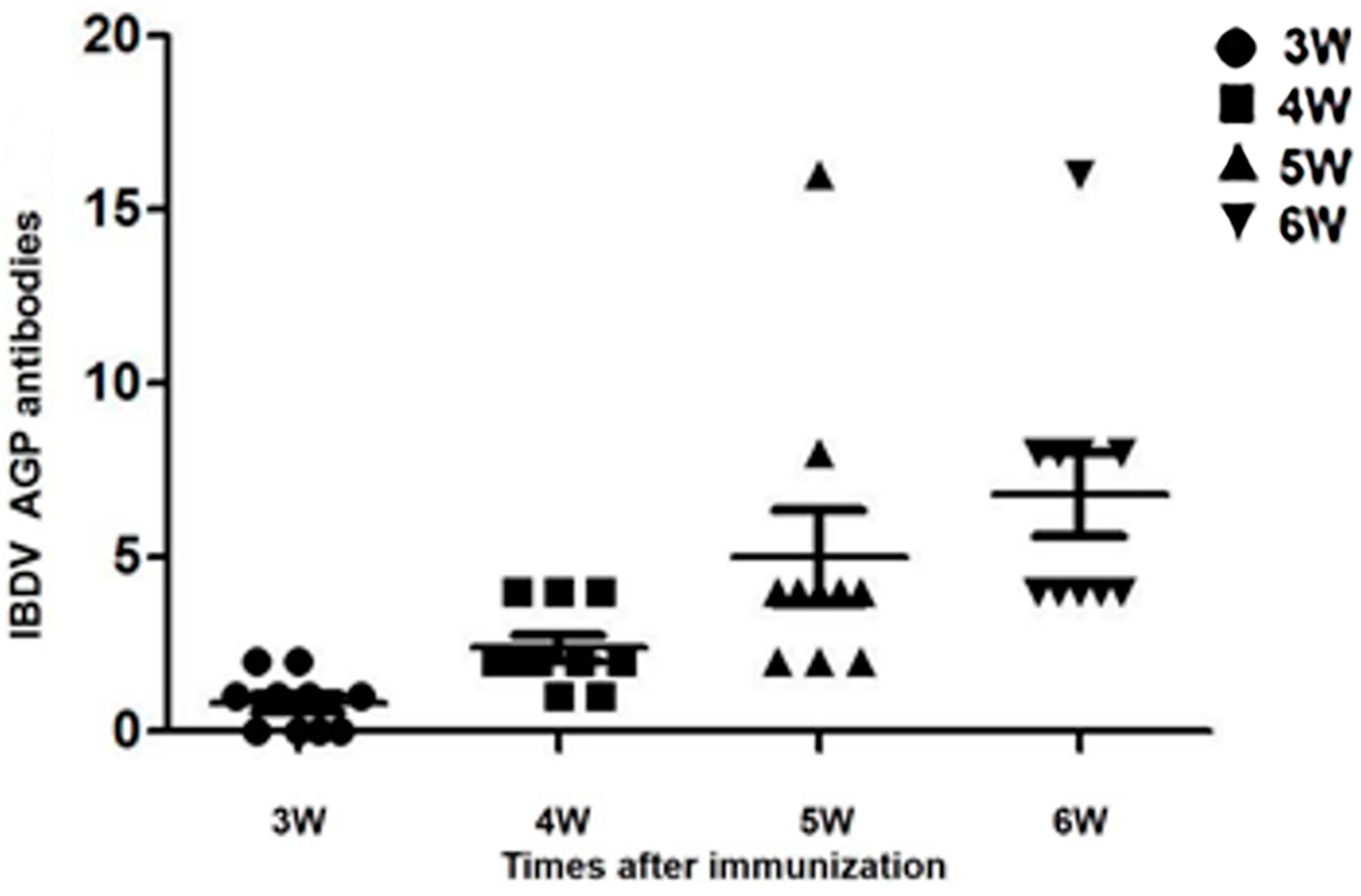 Vaccines | Free Full-Text | Construction of a Novel Infectious Clone of ...
