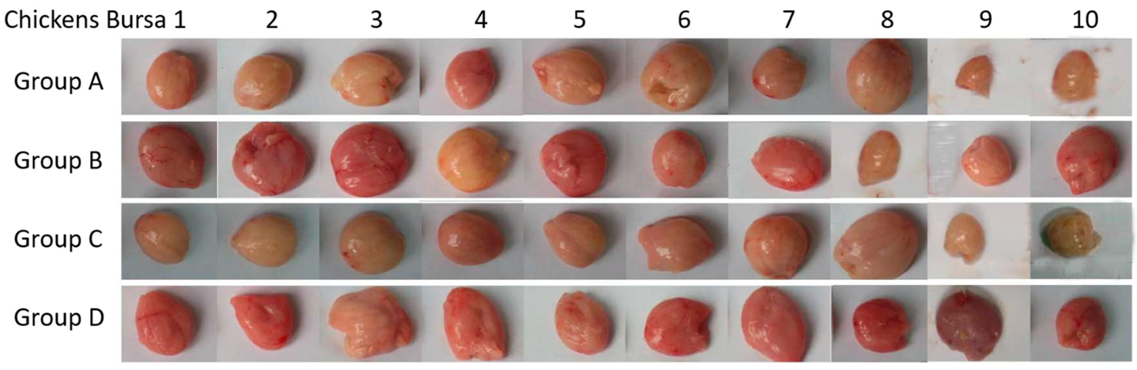 Vaccines 10 01391 g009 Vaccines 10 01391 g009