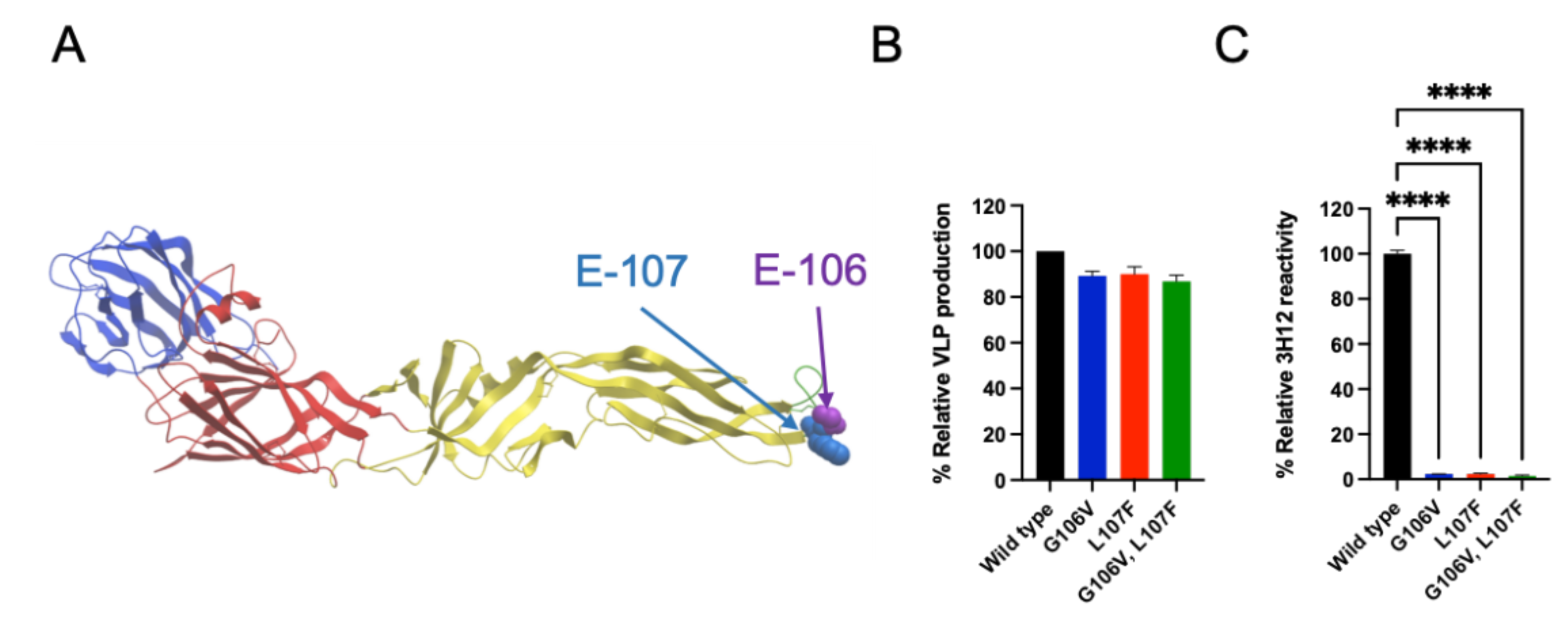 Vaccines 10 01411 g001