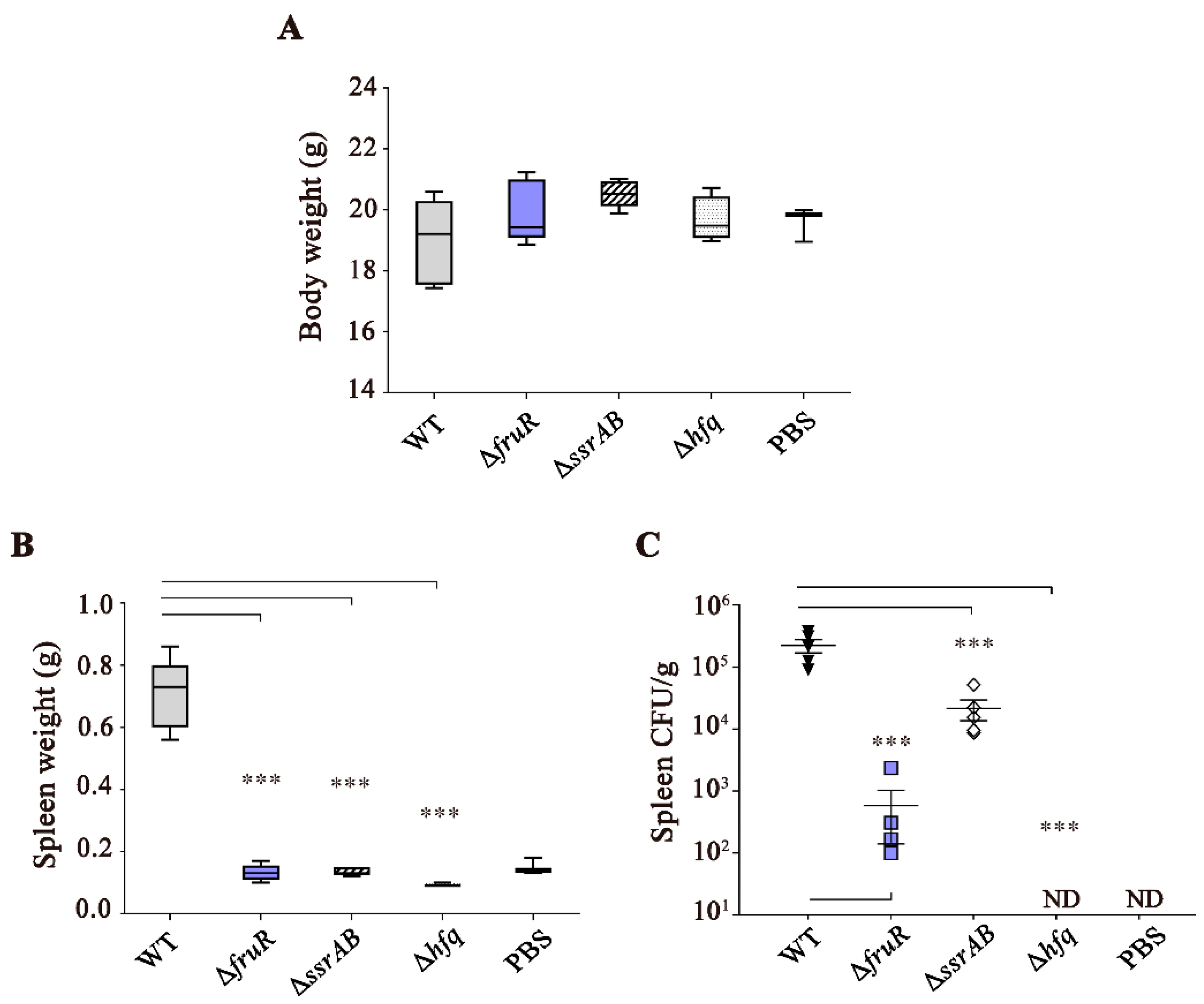 Vaccines 10 01413 g001
