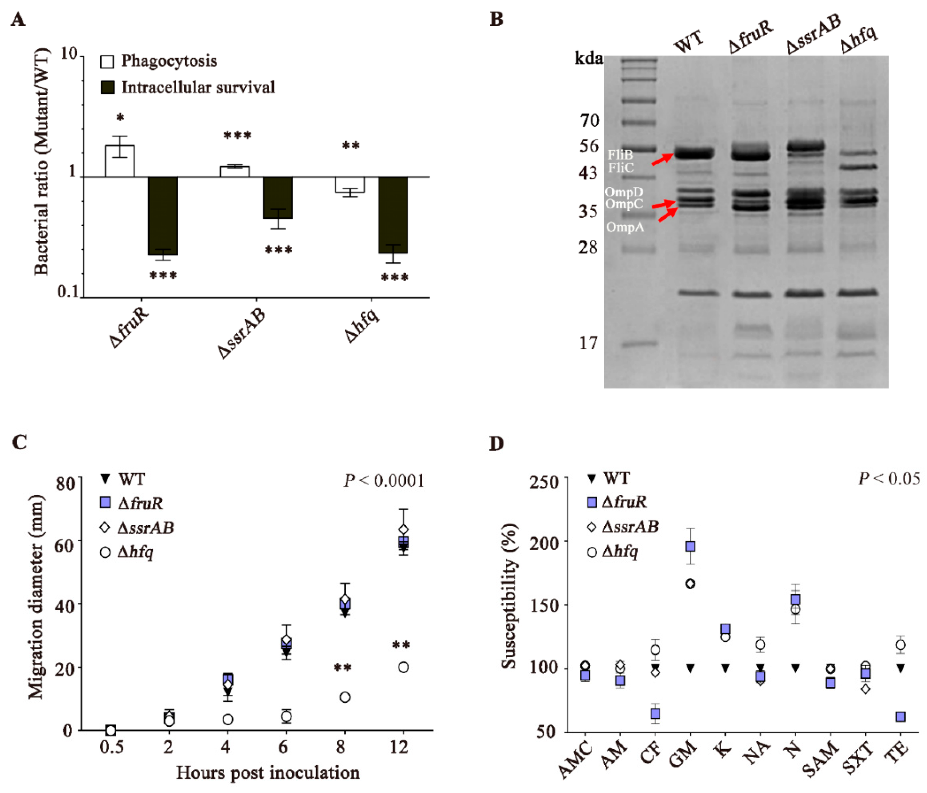 Vaccines 10 01413 g002