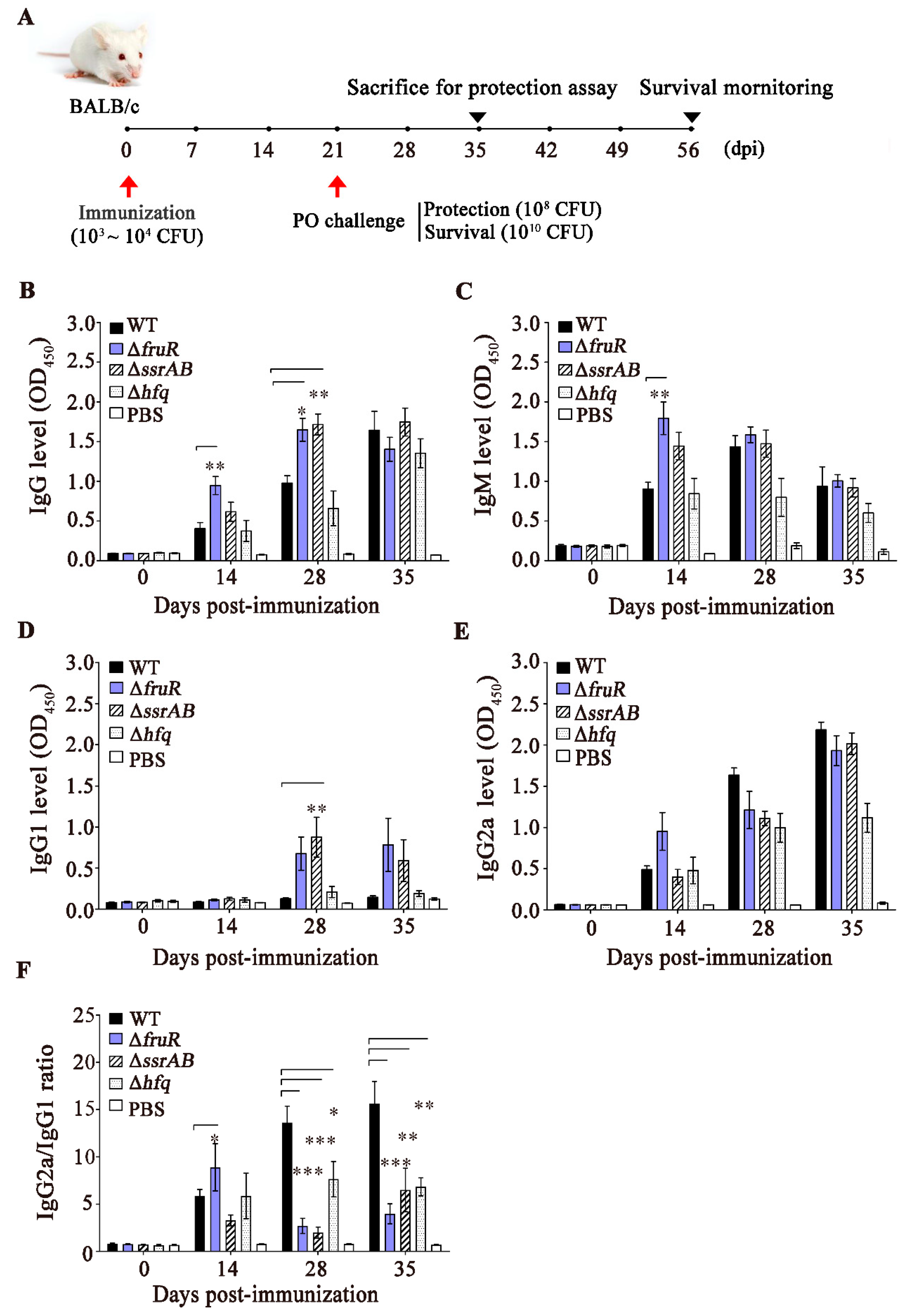 Vaccines 10 01413 g003