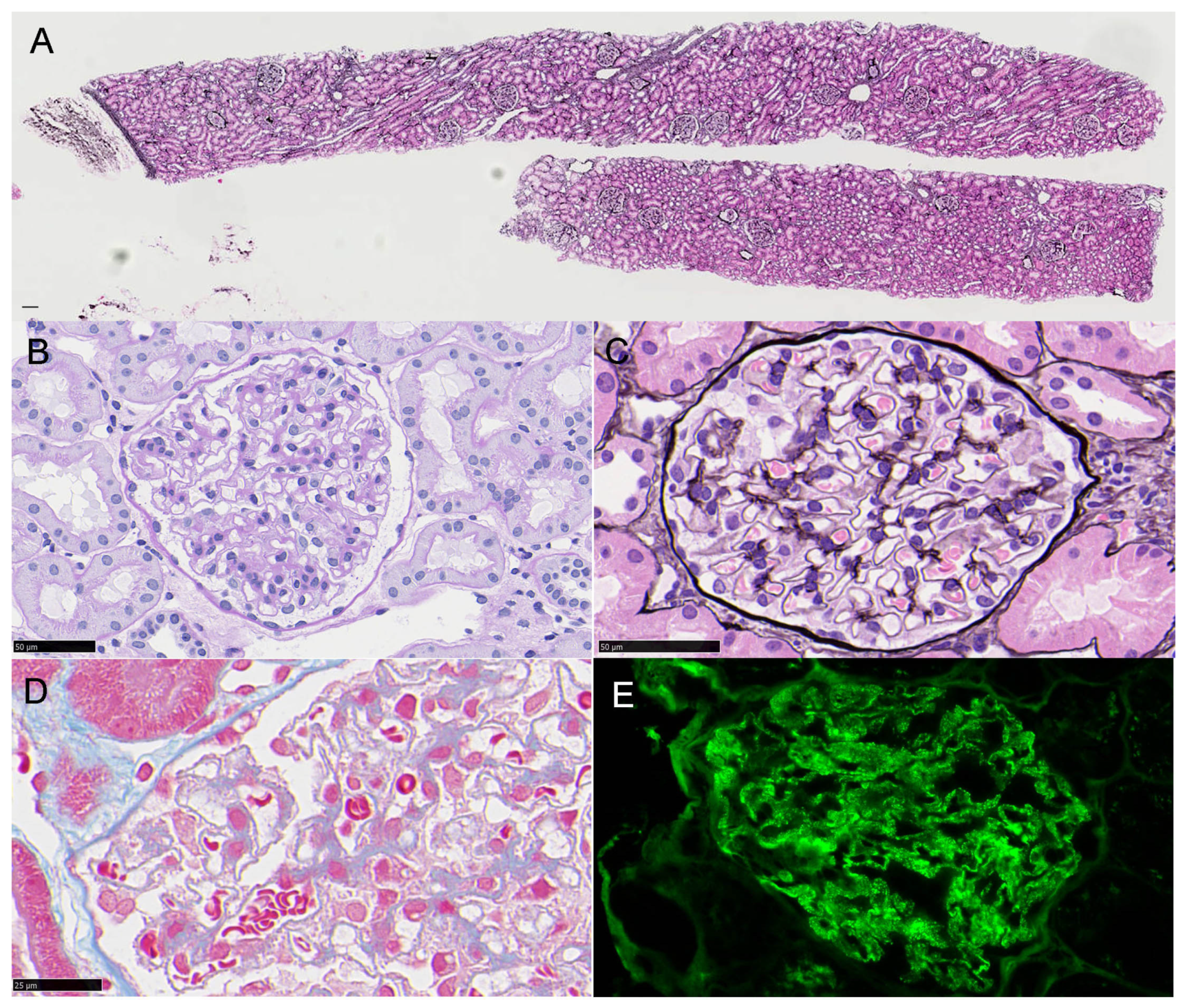 Vaccines 10 01442 g001 550