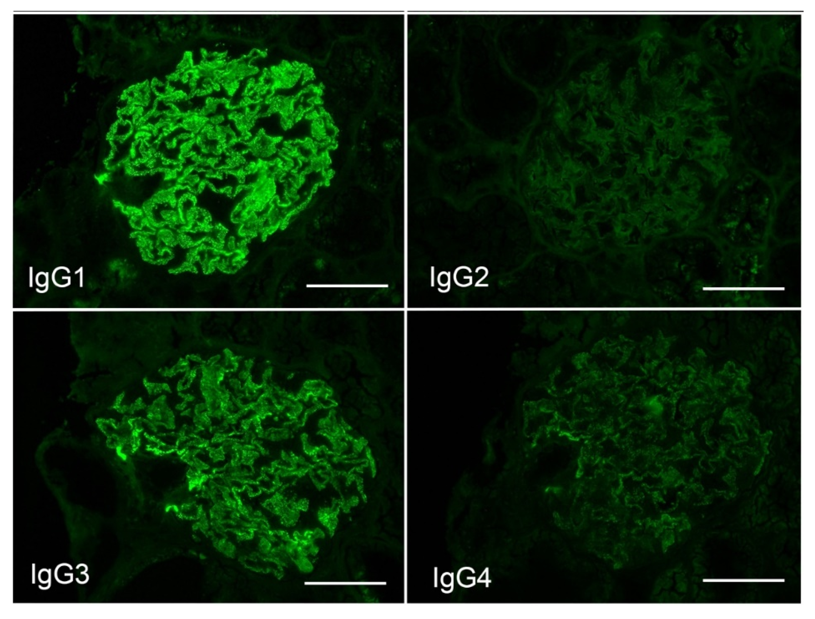 Vaccines 10 01442 g002 550