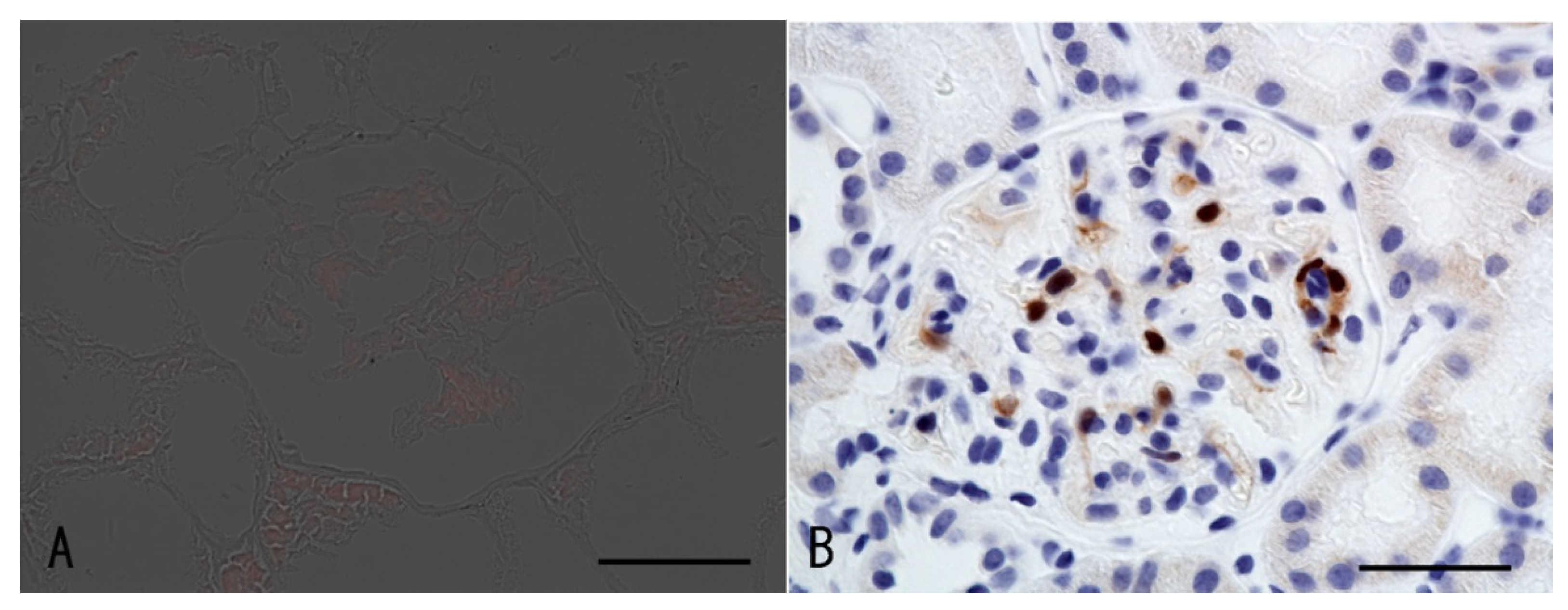 Vaccines 10 01442 g003 550