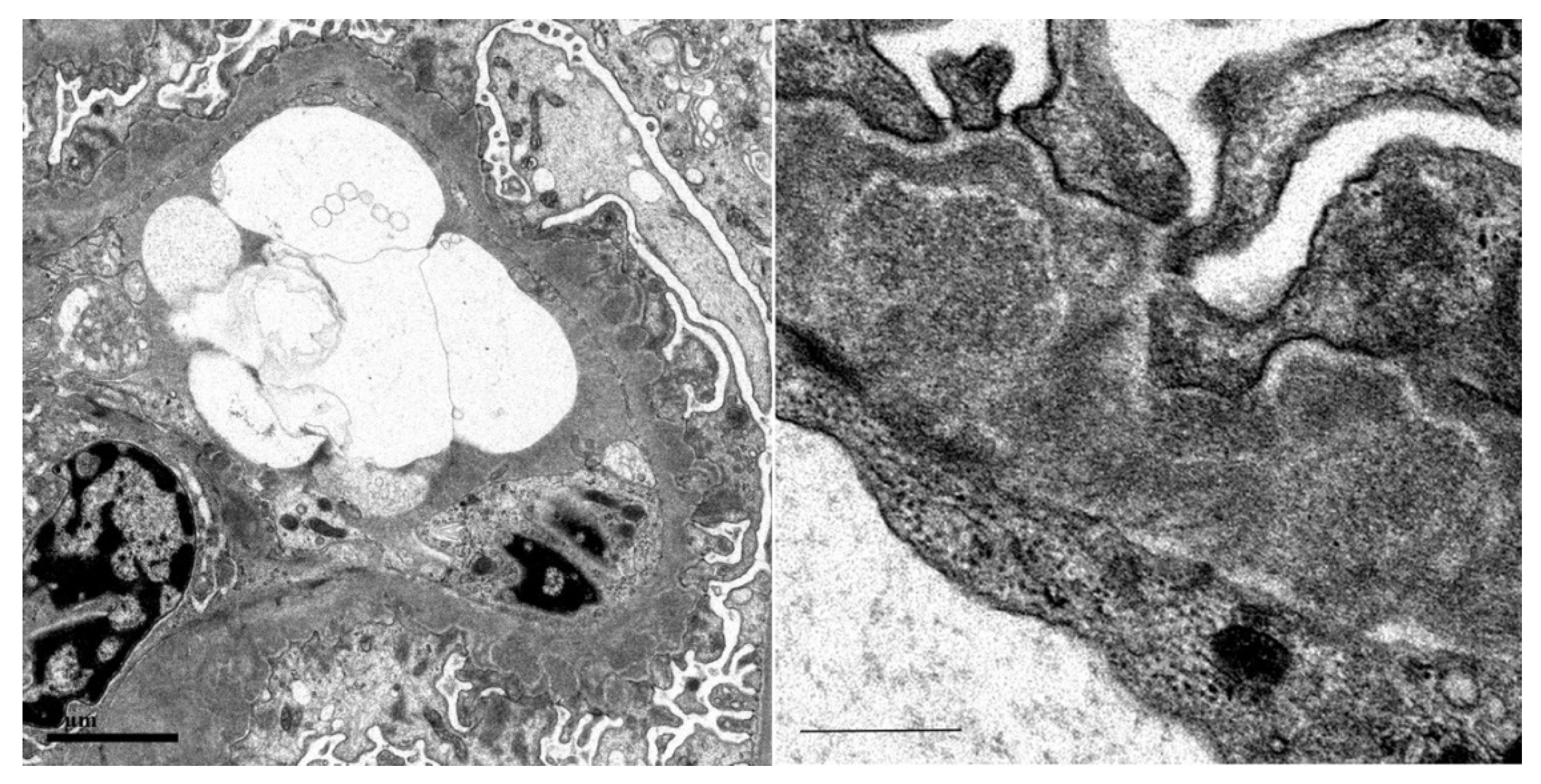 Vaccines 10 01442 g004 550