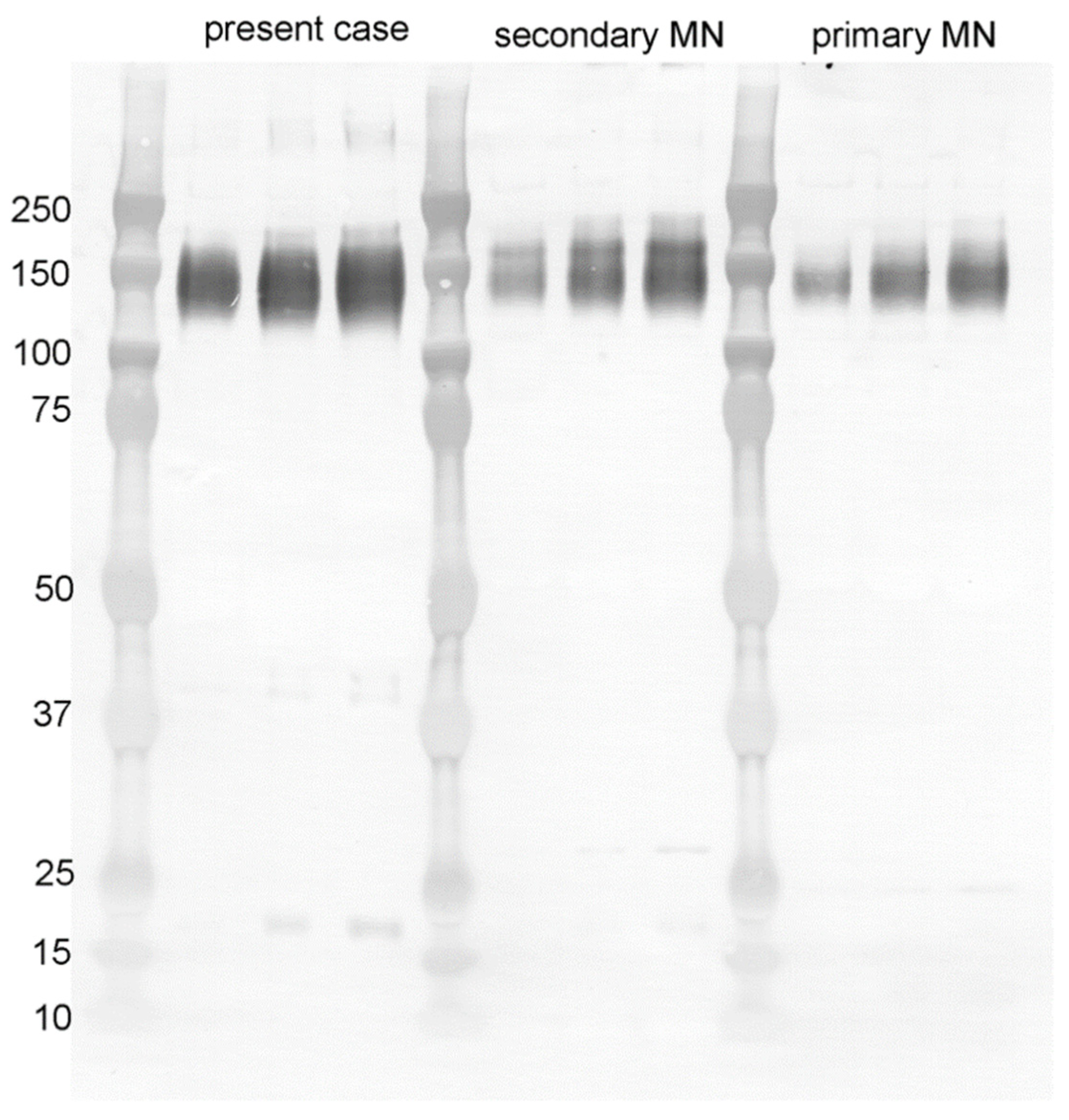 Vaccines 10 01442 g005 550