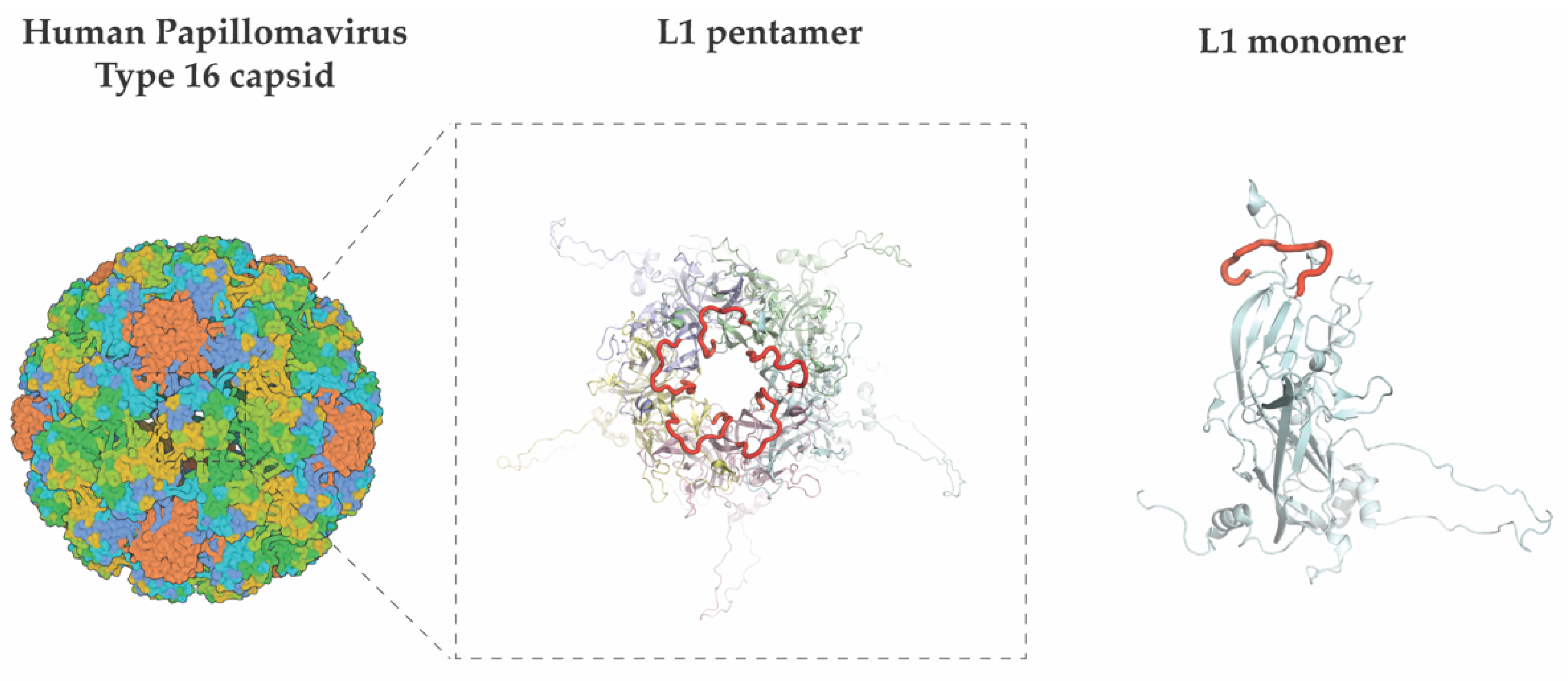Vaccines 10 01447 g003 550