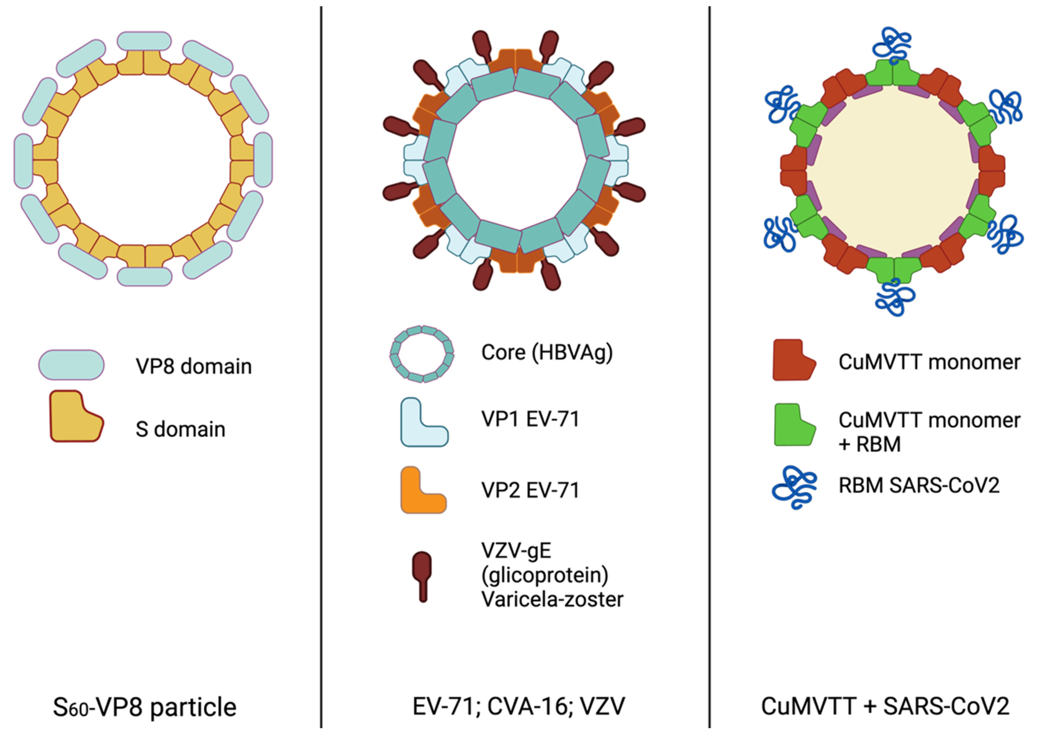 Vaccines 10 01447 g004 550