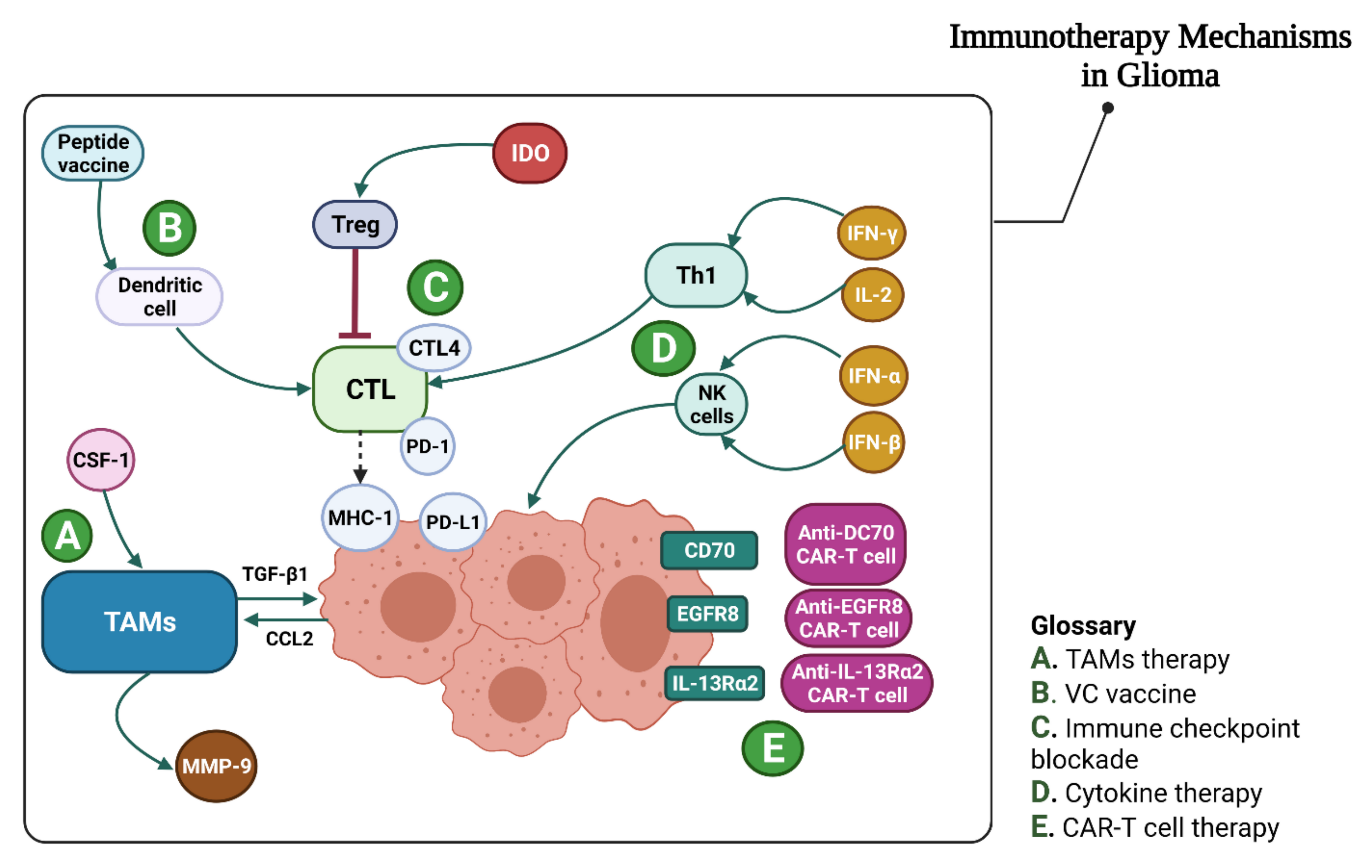 Vaccines 10 01448 g003 Vaccines 10 01448 g003